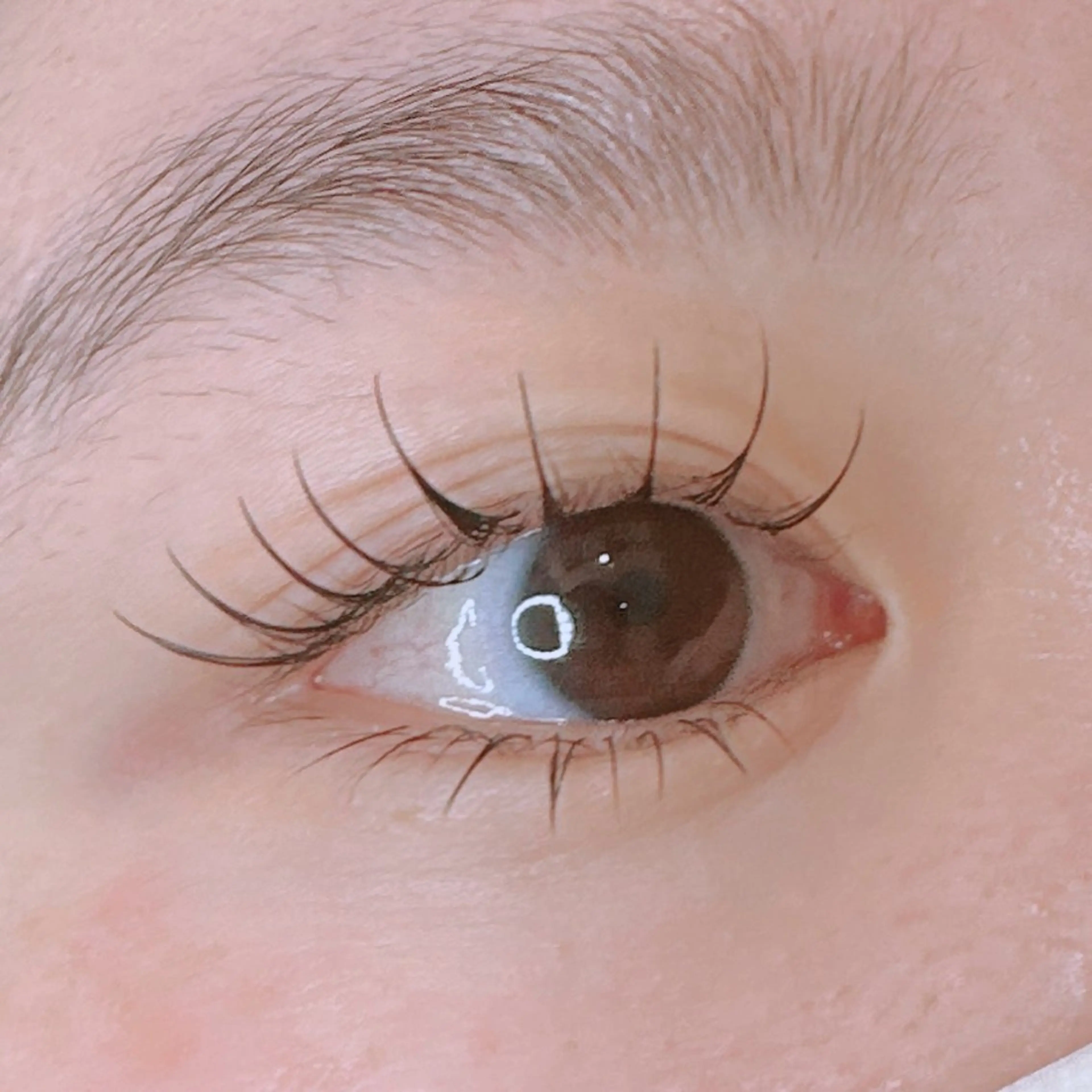 上下マツエク໒꒱  ̖́-の写真