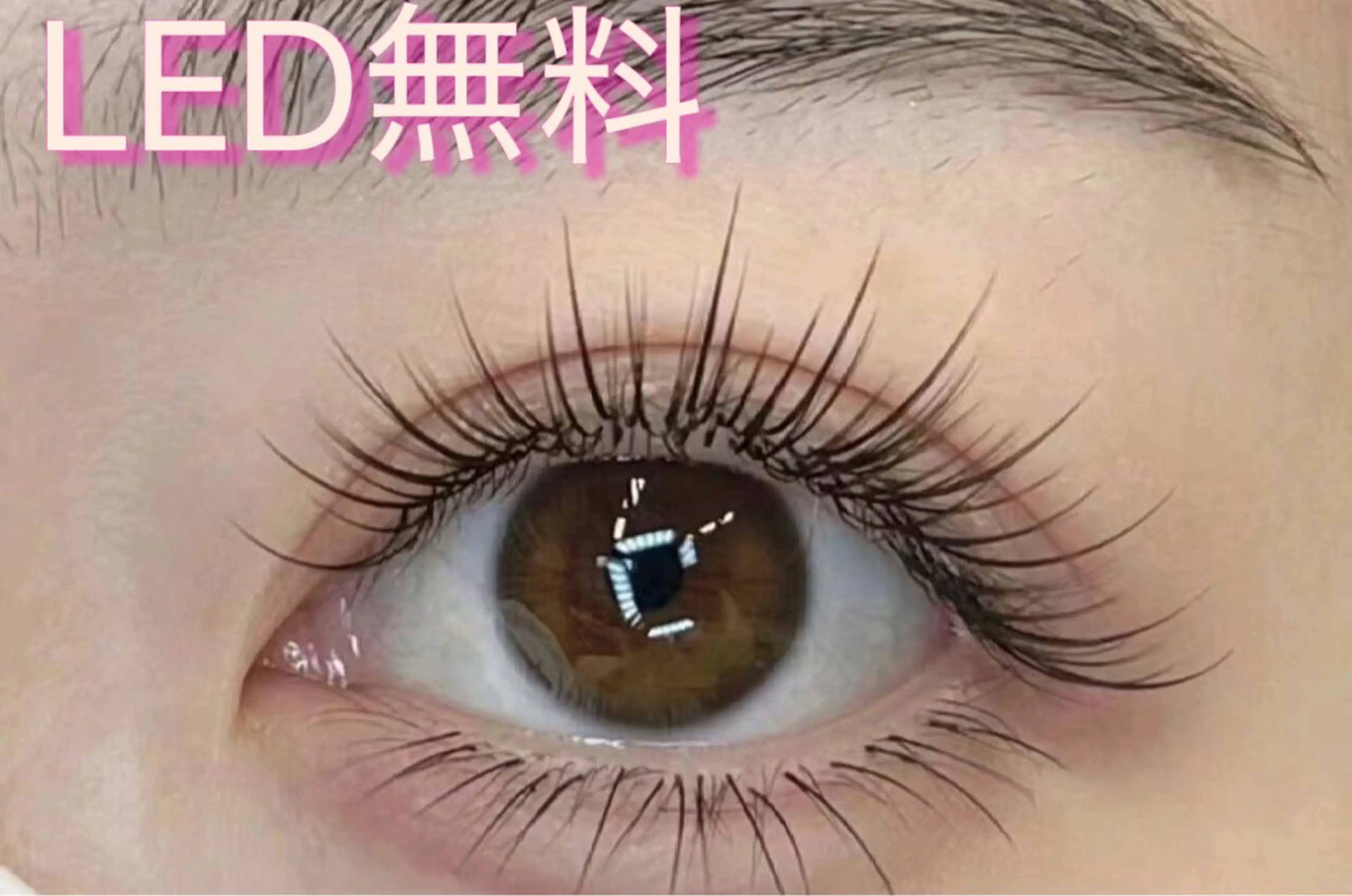 マツエク・マツパ 韓国風マツエク ワンホンマツエク 2 5のマツエク・マツパデザイン