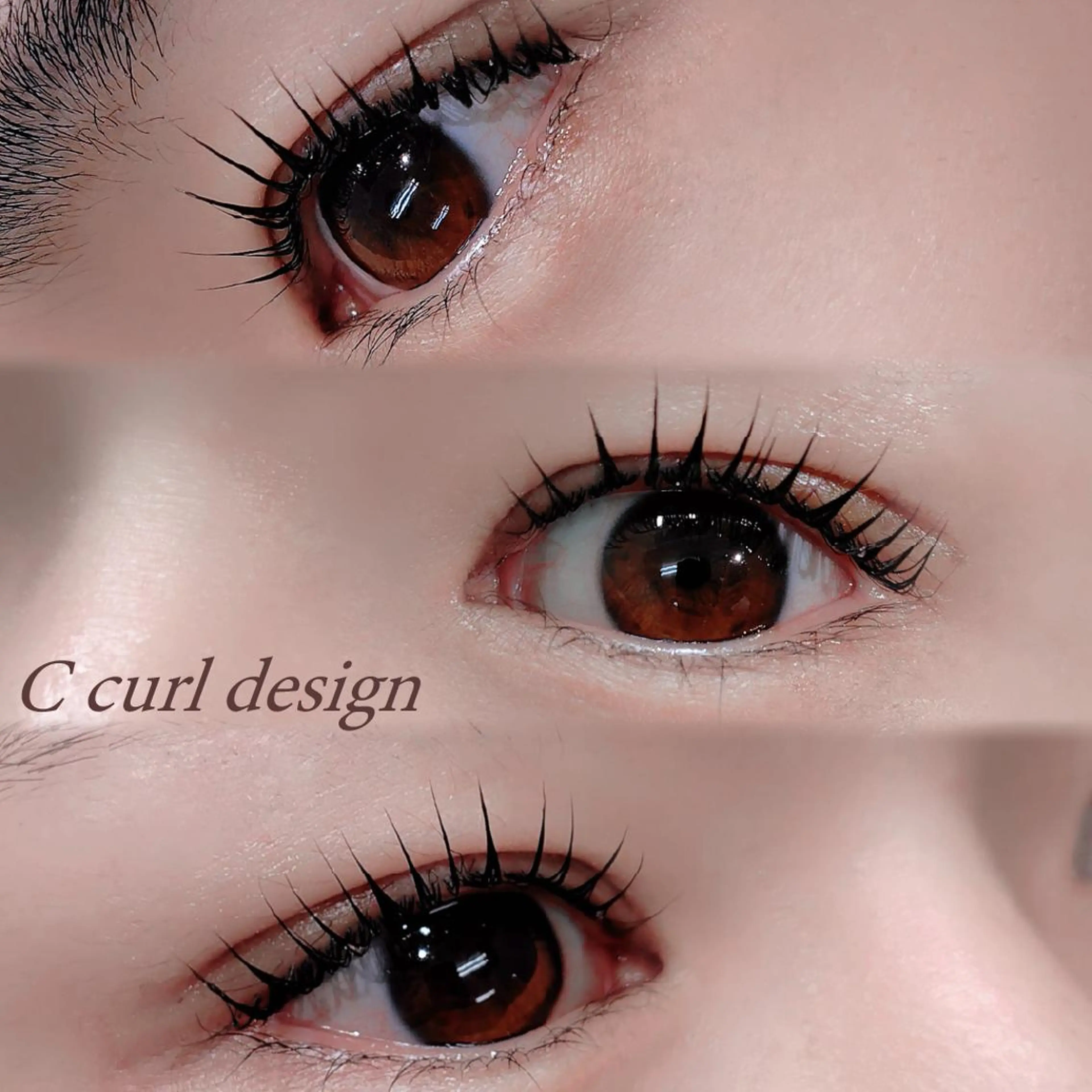 マツエク・マツパ Cカール まつげパーマ専門店 シャルナ　上野店のマツエク・マツパデザイン