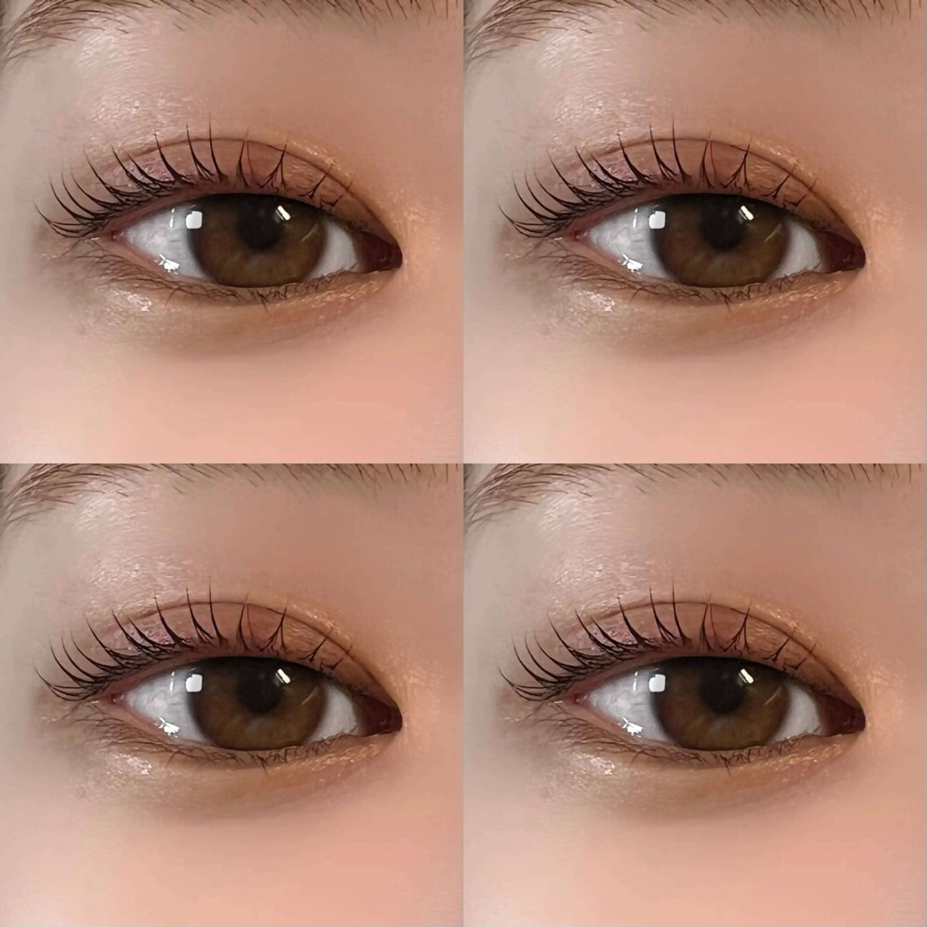 マツエク・マツパ 垢抜け眉WAX専門 ちゅるんまつげ|鎌倉の眉毛・アイブロウイメージ