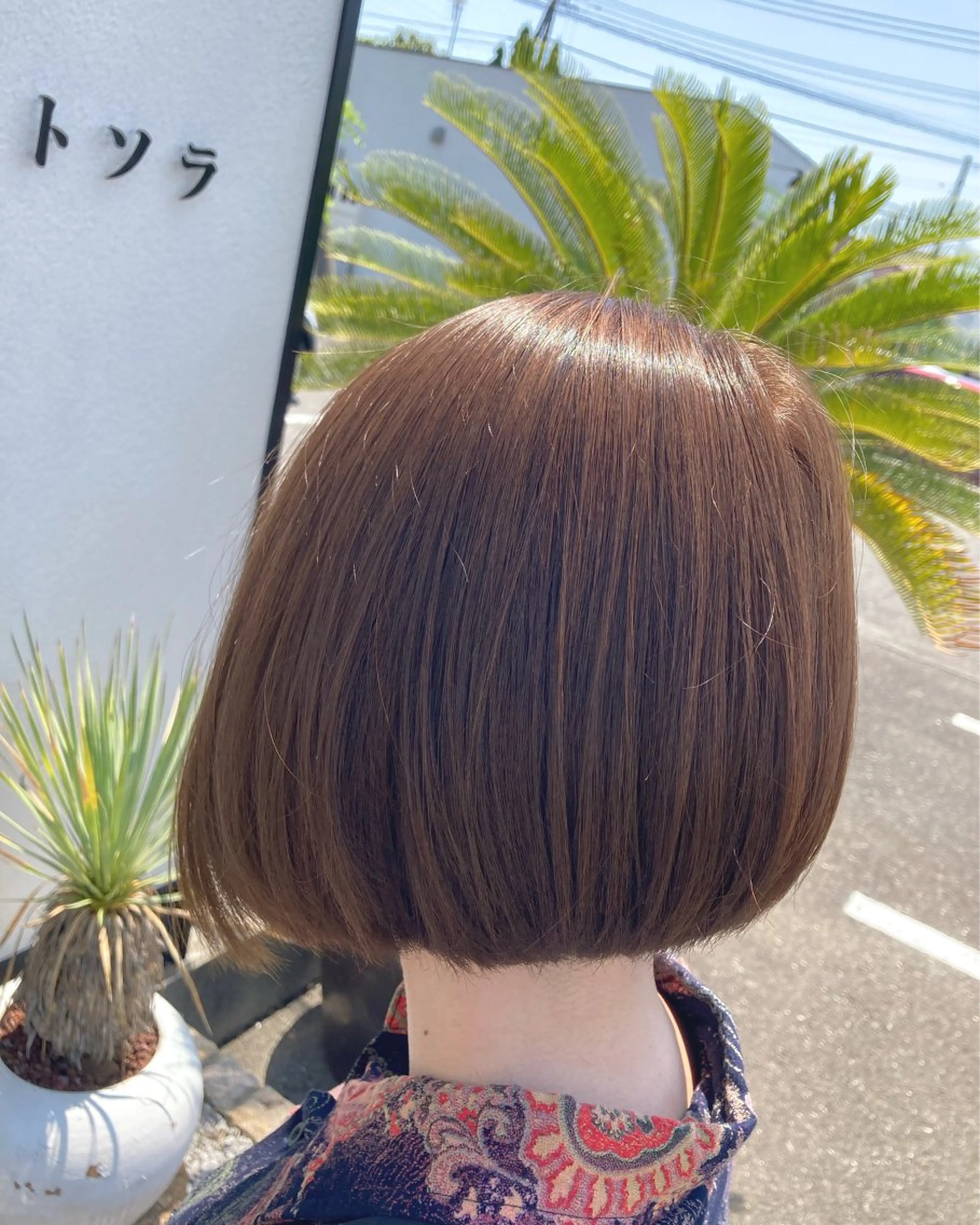 【再来】カラーのみの写真