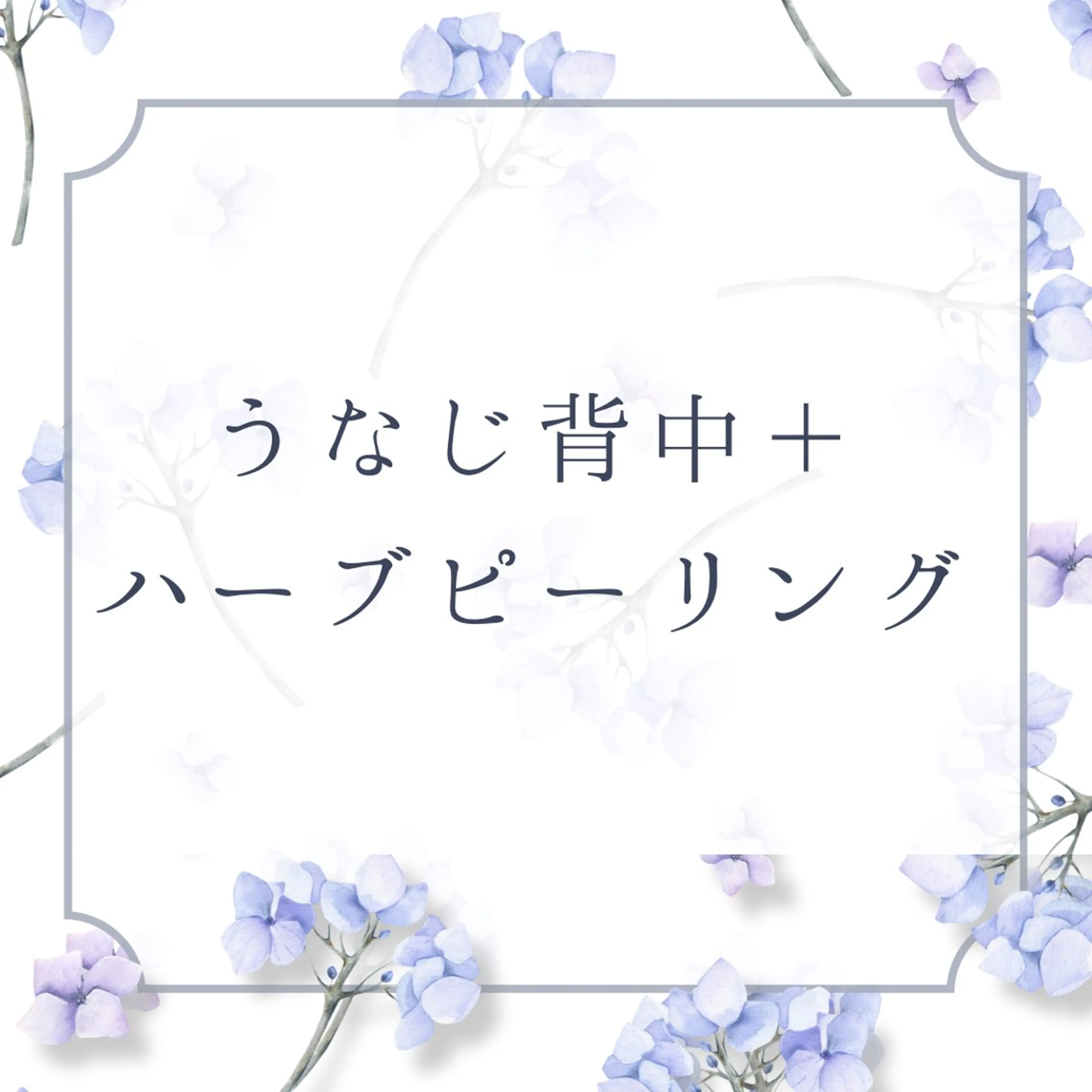 【5月限定】徹底背中ケア✨うなじ・背中光脱毛＋ハーブピーリング ¥11,000の写真