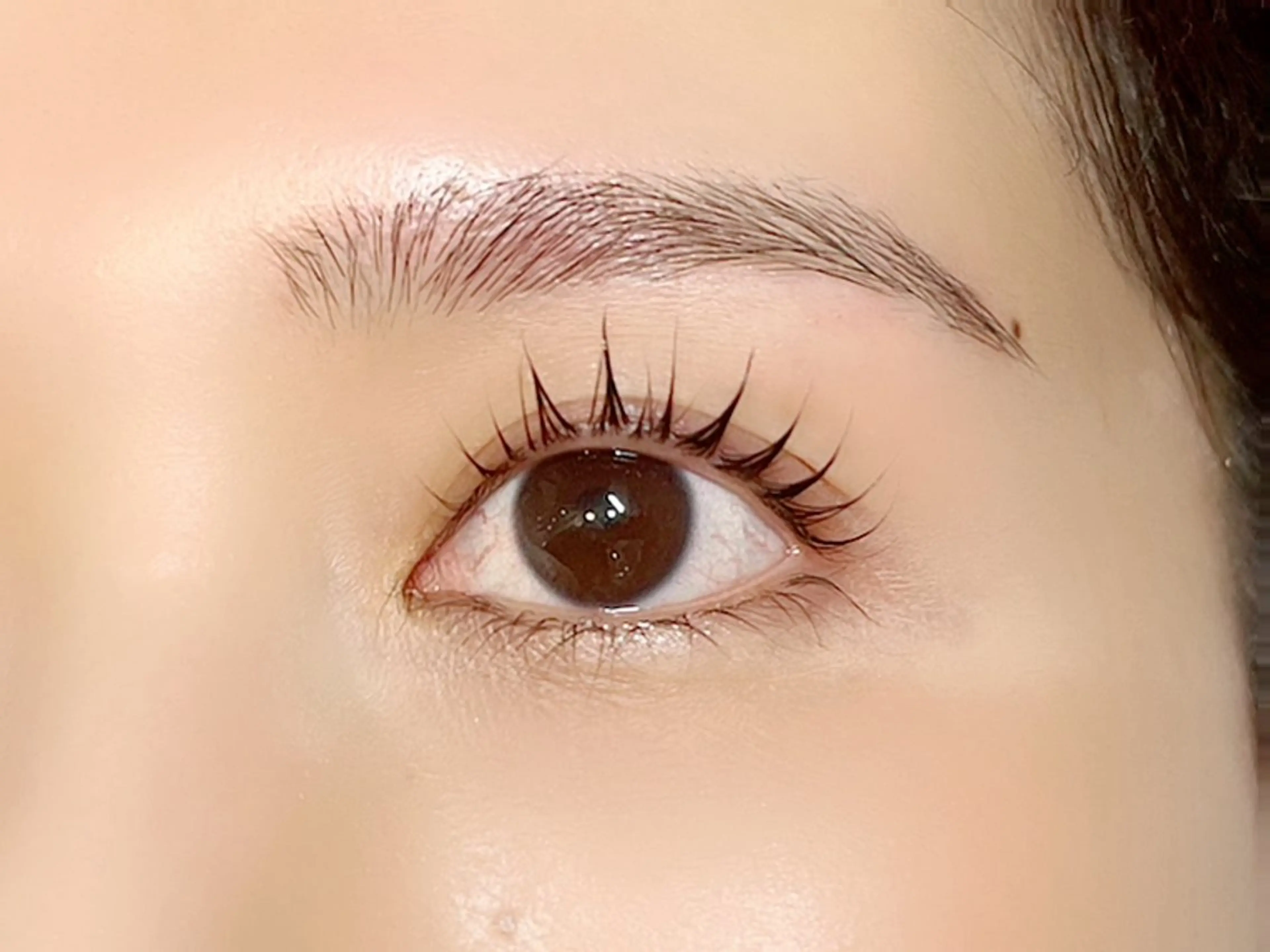 マツパ×美眉Wax  ¥8,000の写真