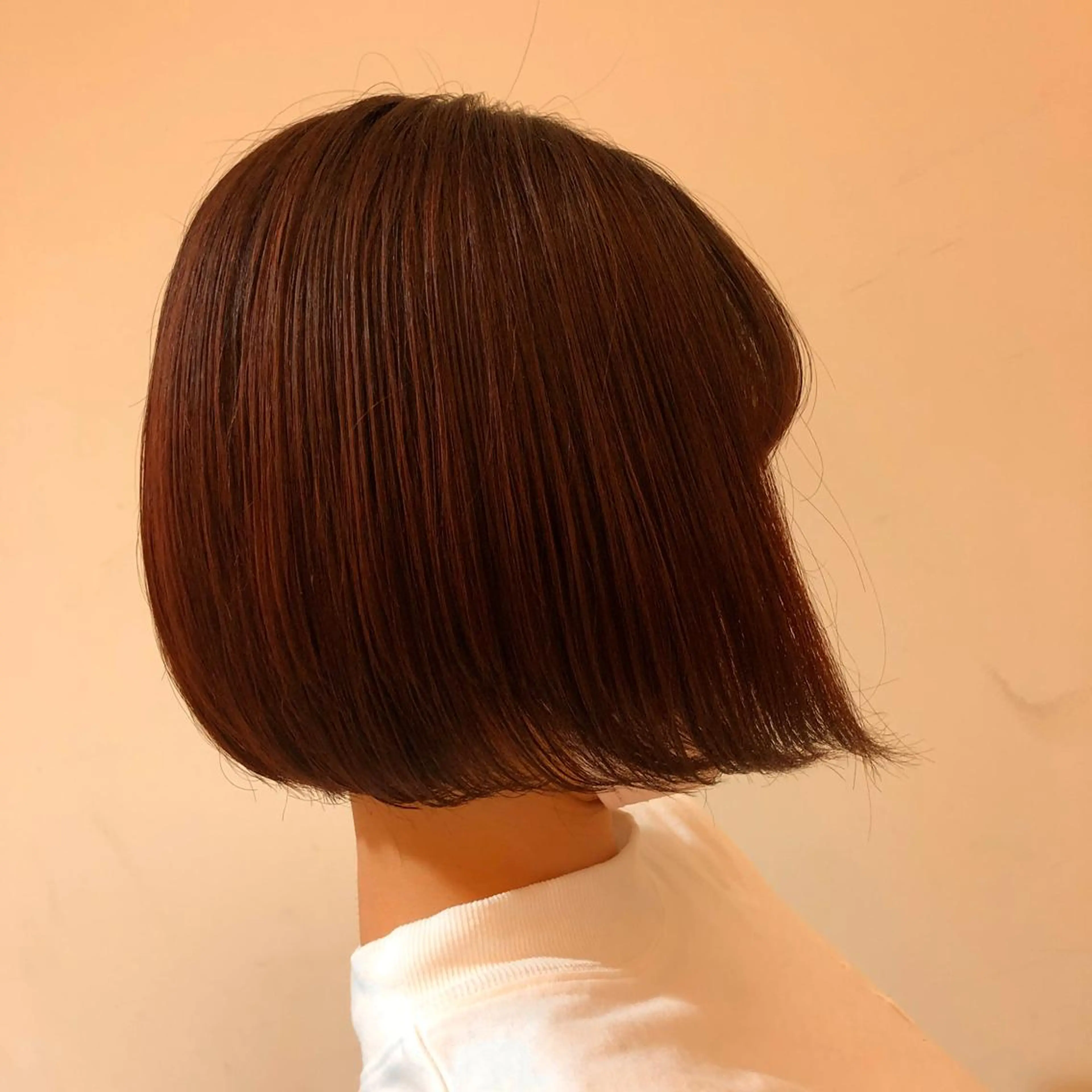 ショート カラー 韓国風レイヤーカット 松葉翔のヘアスタイル