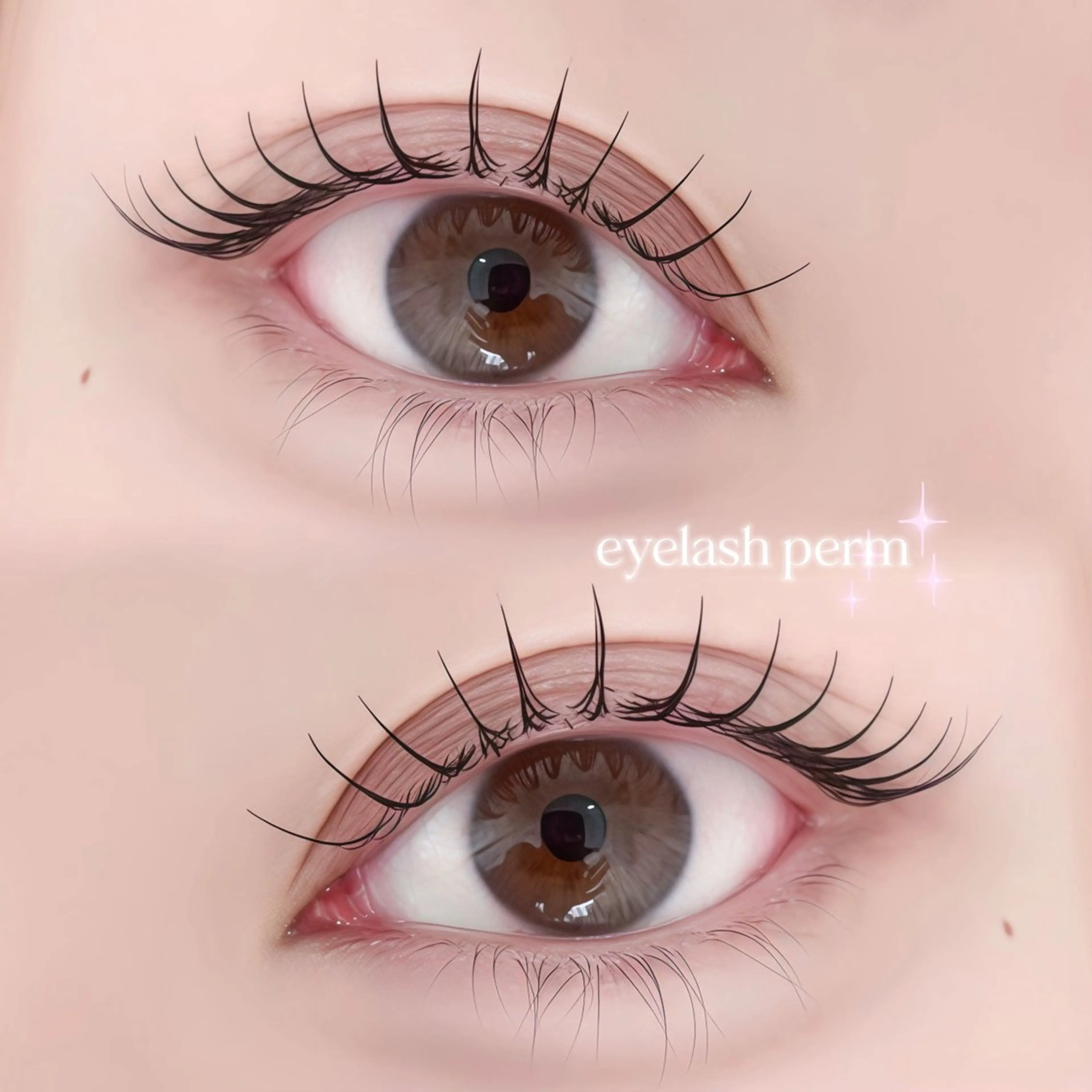 【ミニモ学割👧🏻】パリジェンヌorまつパ 🎀 選べるまつ毛パーマmenu ♡の写真