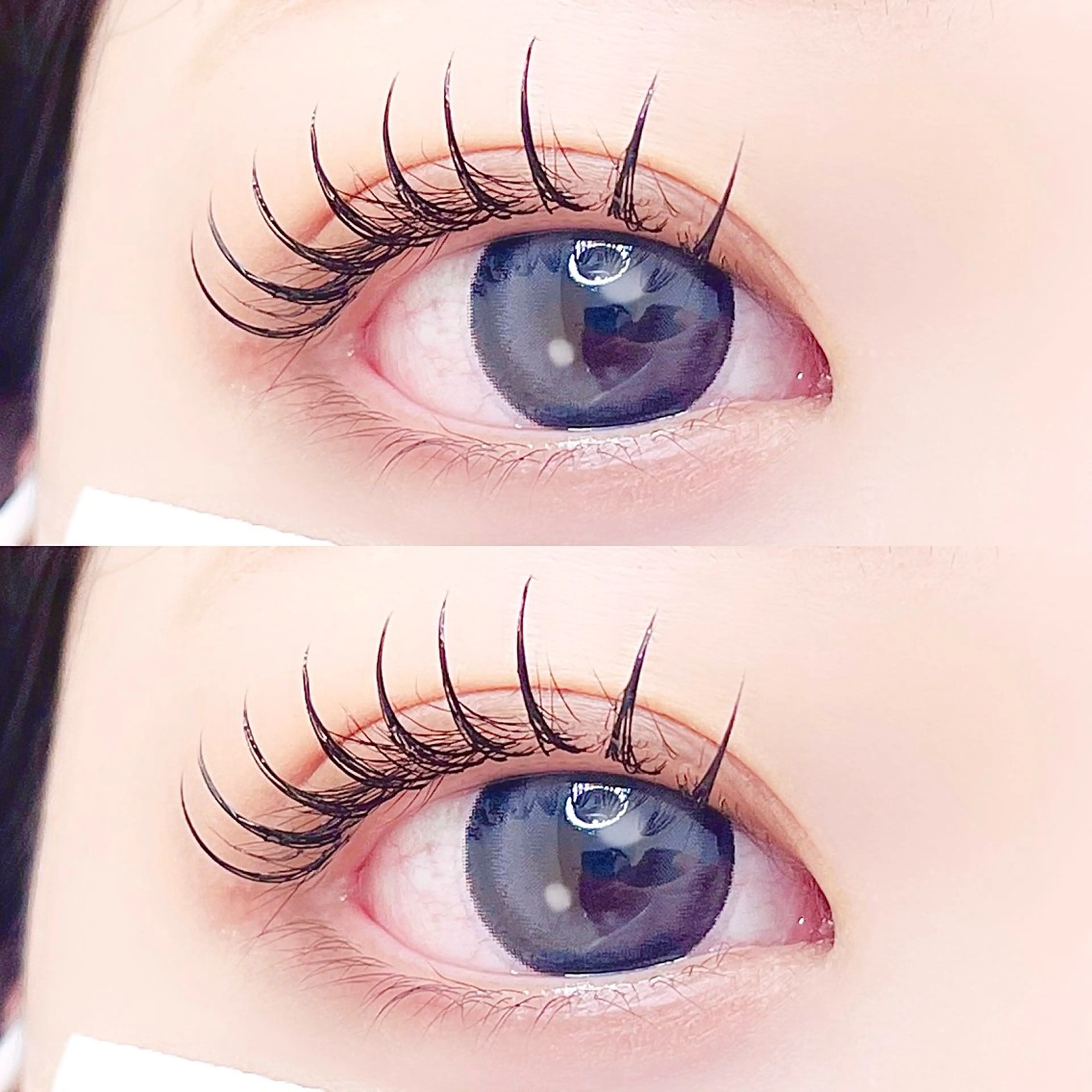 【‼️1日1名限定‼️】LEDエクステ120本‎✨オフ込み‎✨美容液コーティング付き✨U25限定🩶の写真