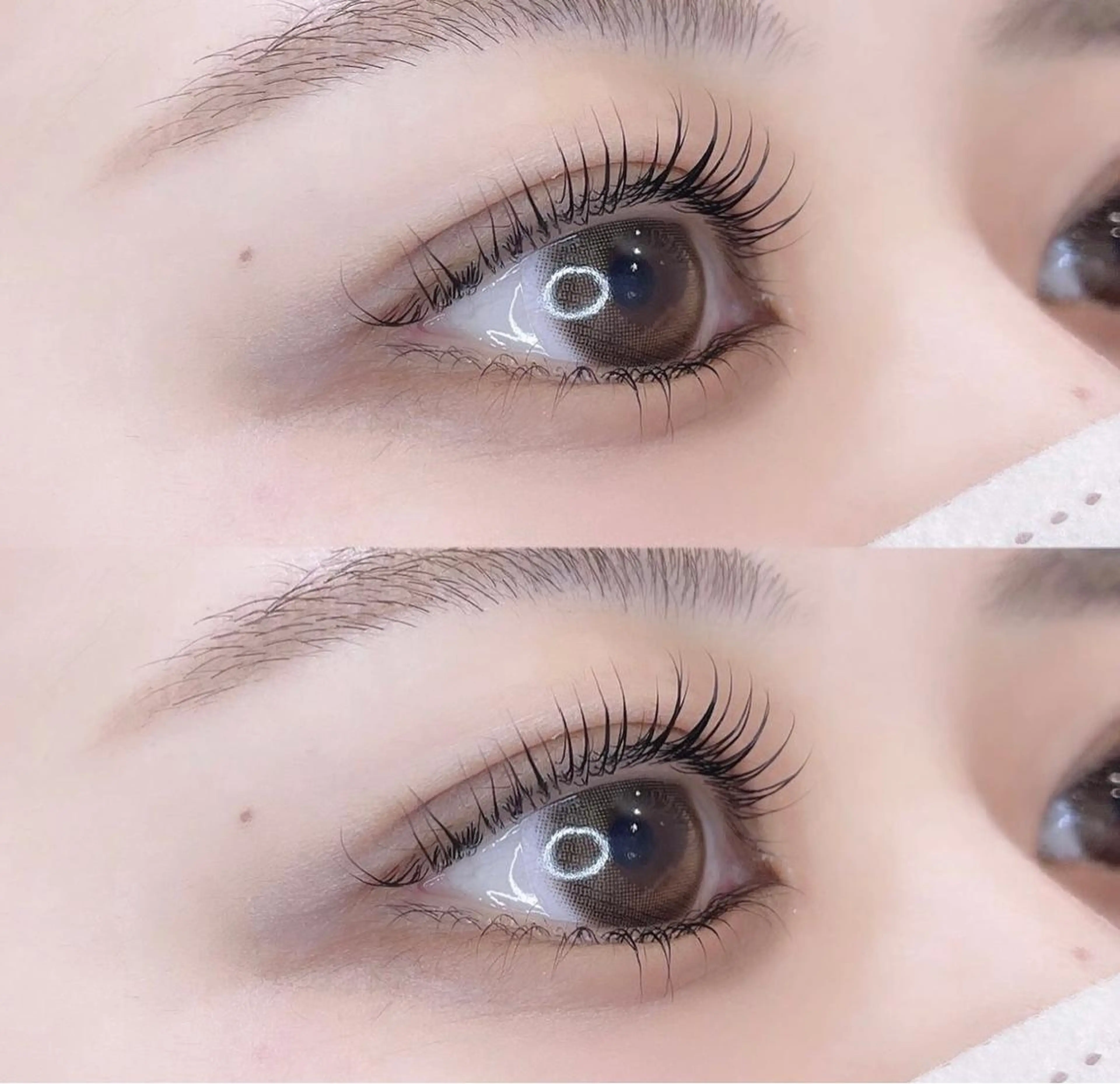 マツエク・マツパ ROCO LUSH 恵比寿西口店🫧🎀のマツエク・マツパデザイン