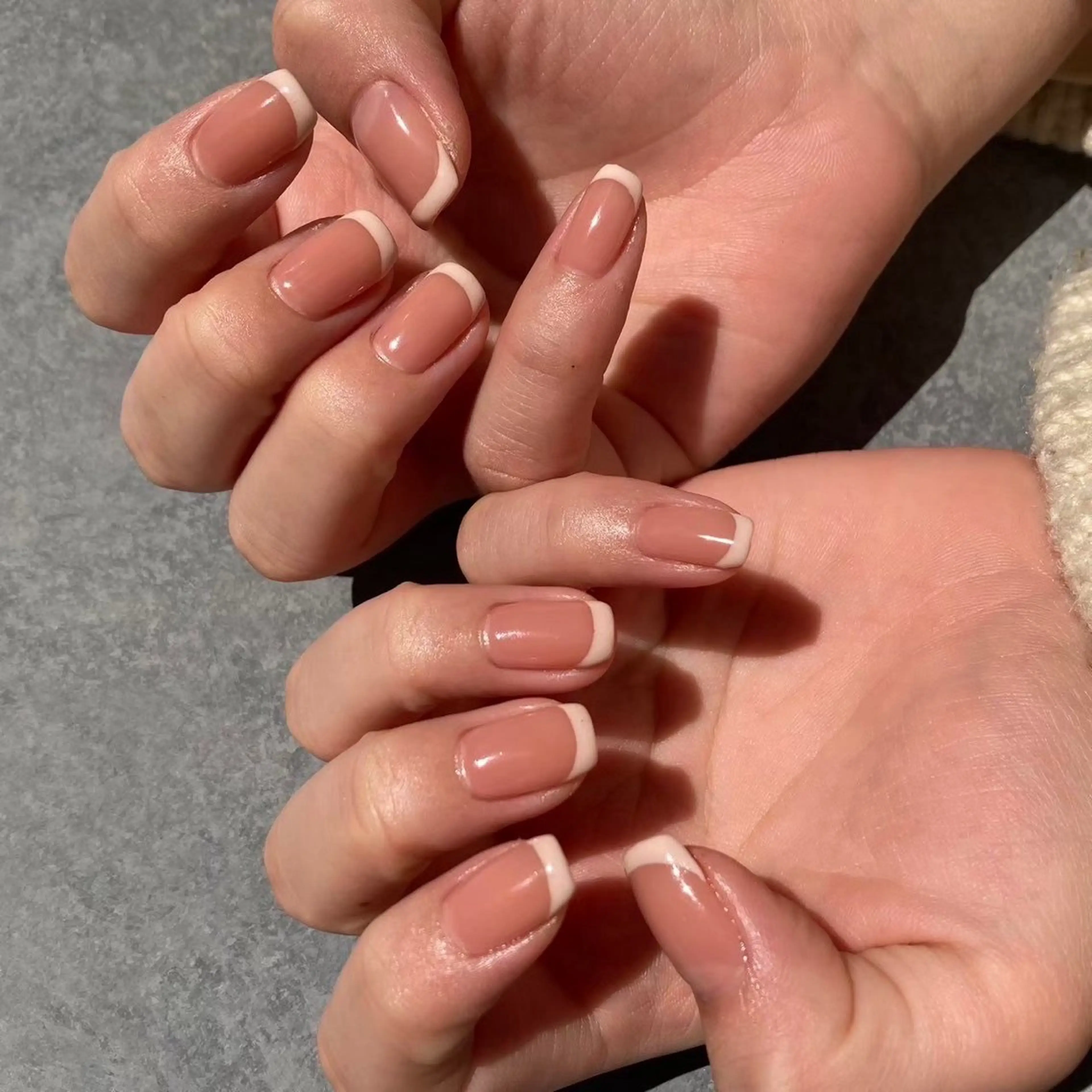 《オフ無し》フレンチの写真