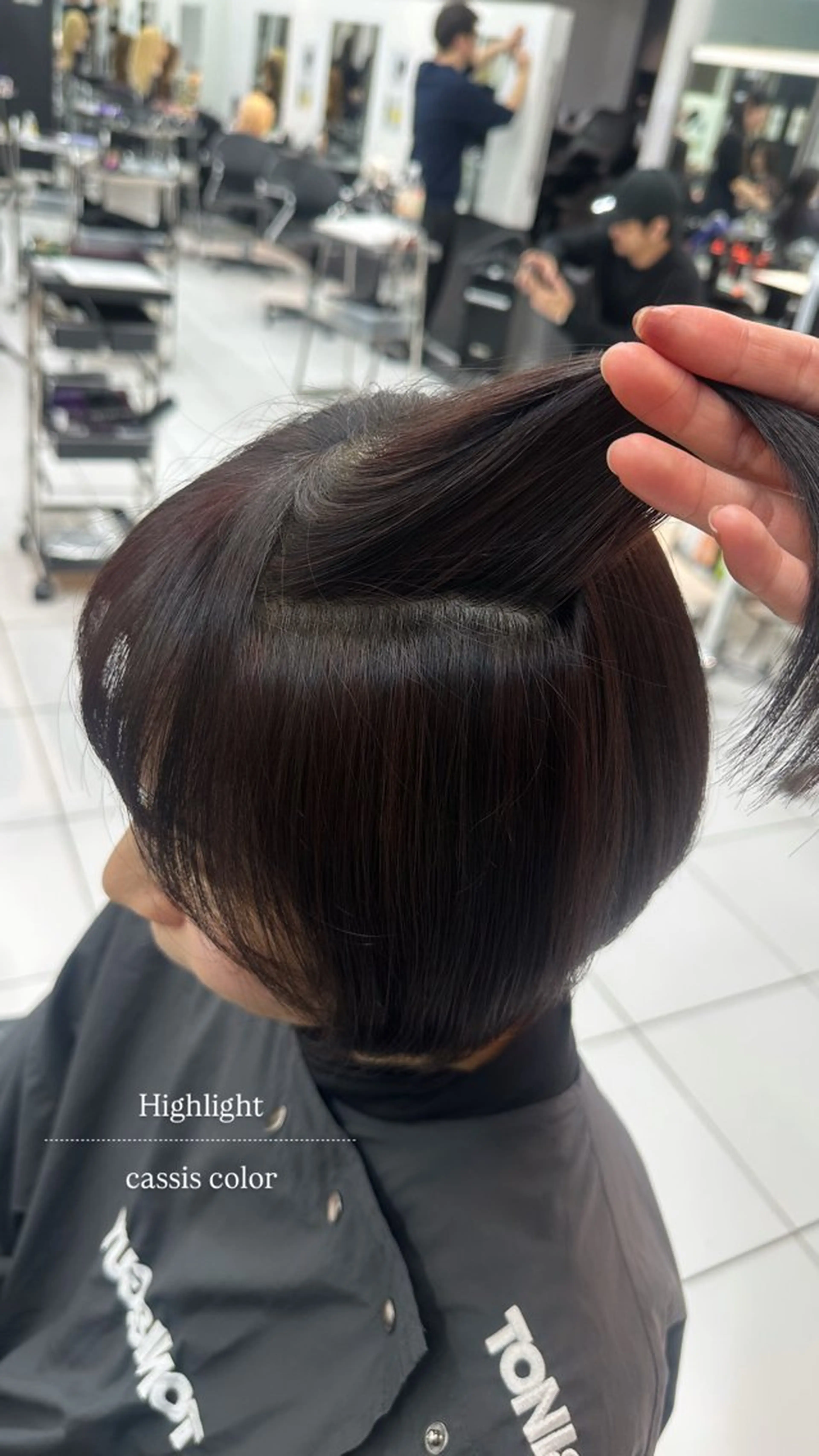 ショート ハイライト はにいレイヤーカット モデル募集中のヘアスタイル