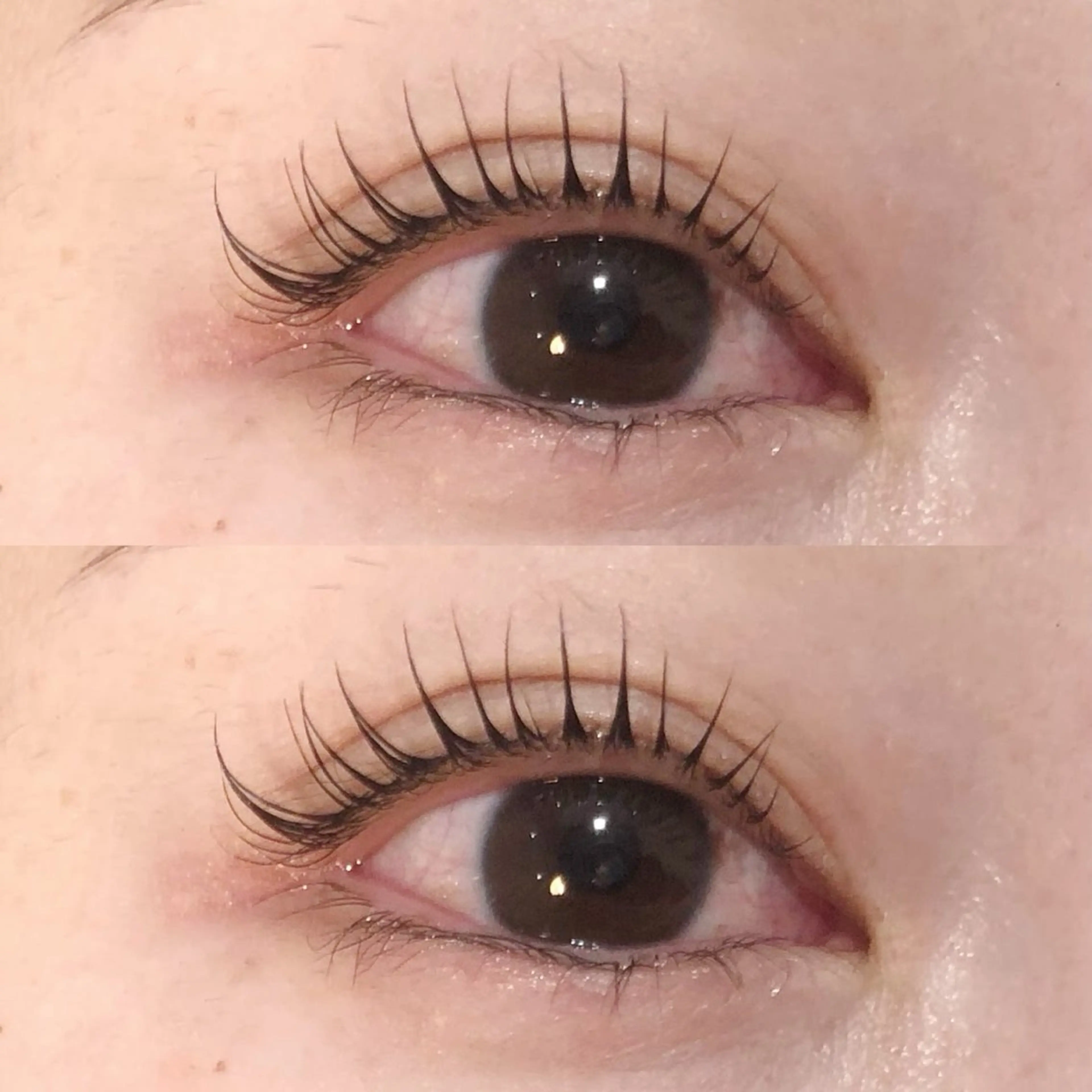 マツエク・マツパ yua 🍃のマツエク・マツパデザイン