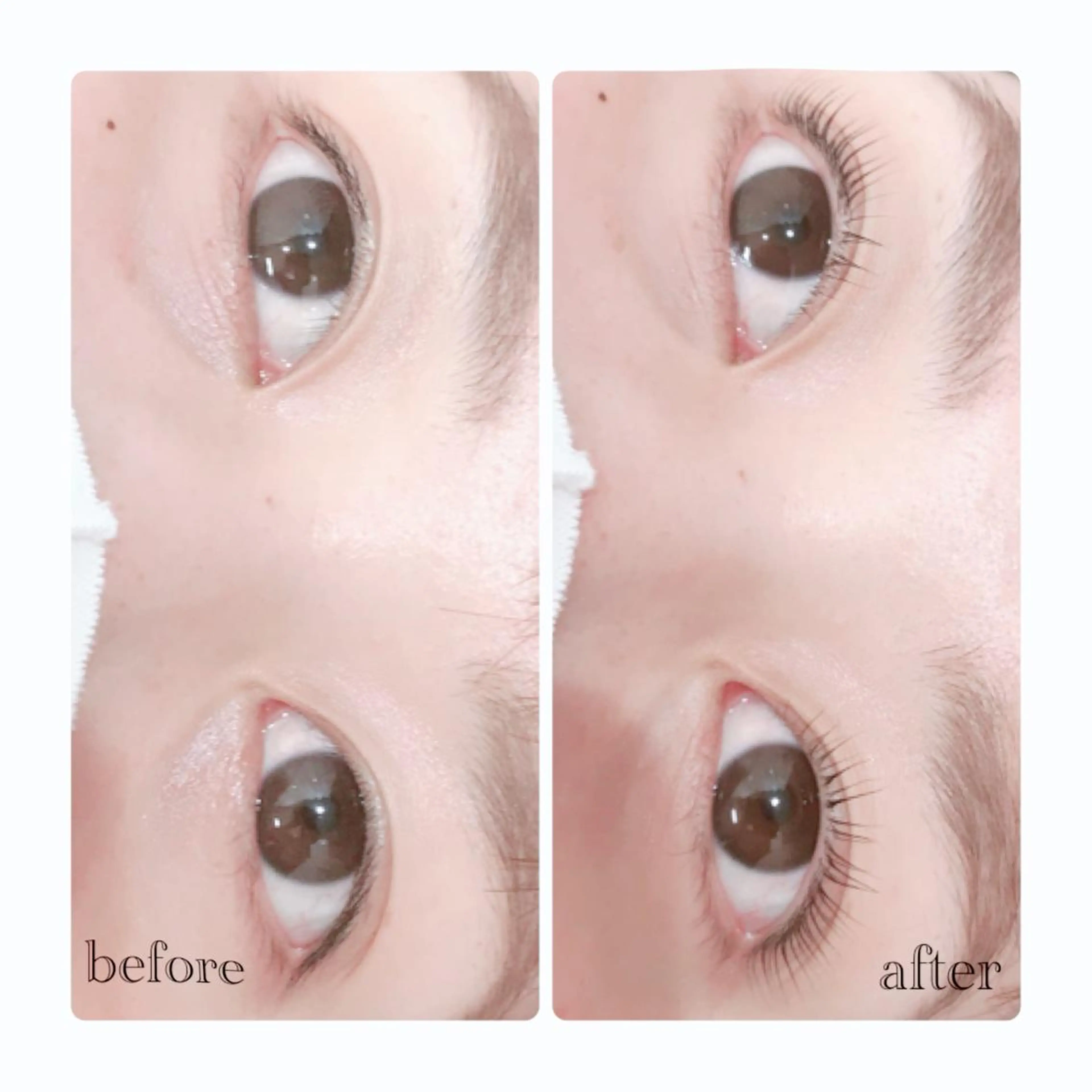 パーマ ELLA 菊地のマツエク・マツパデザイン