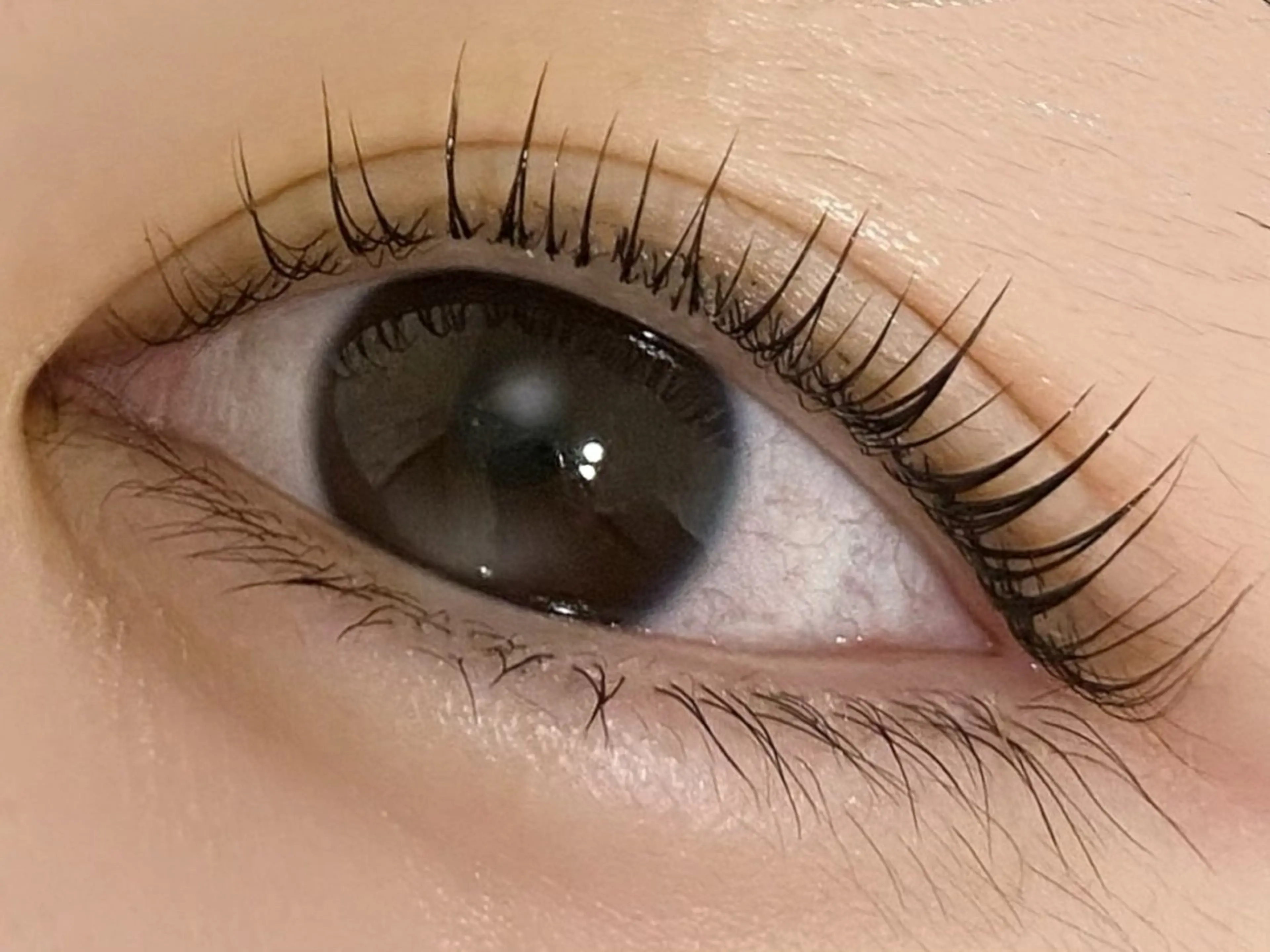 マツエク・マツパ パリジェンヌラッシュリフト マツパ 💎マツエク/眉毛 パリジェンヌ渋谷💎のマツエク・マツパデザイン