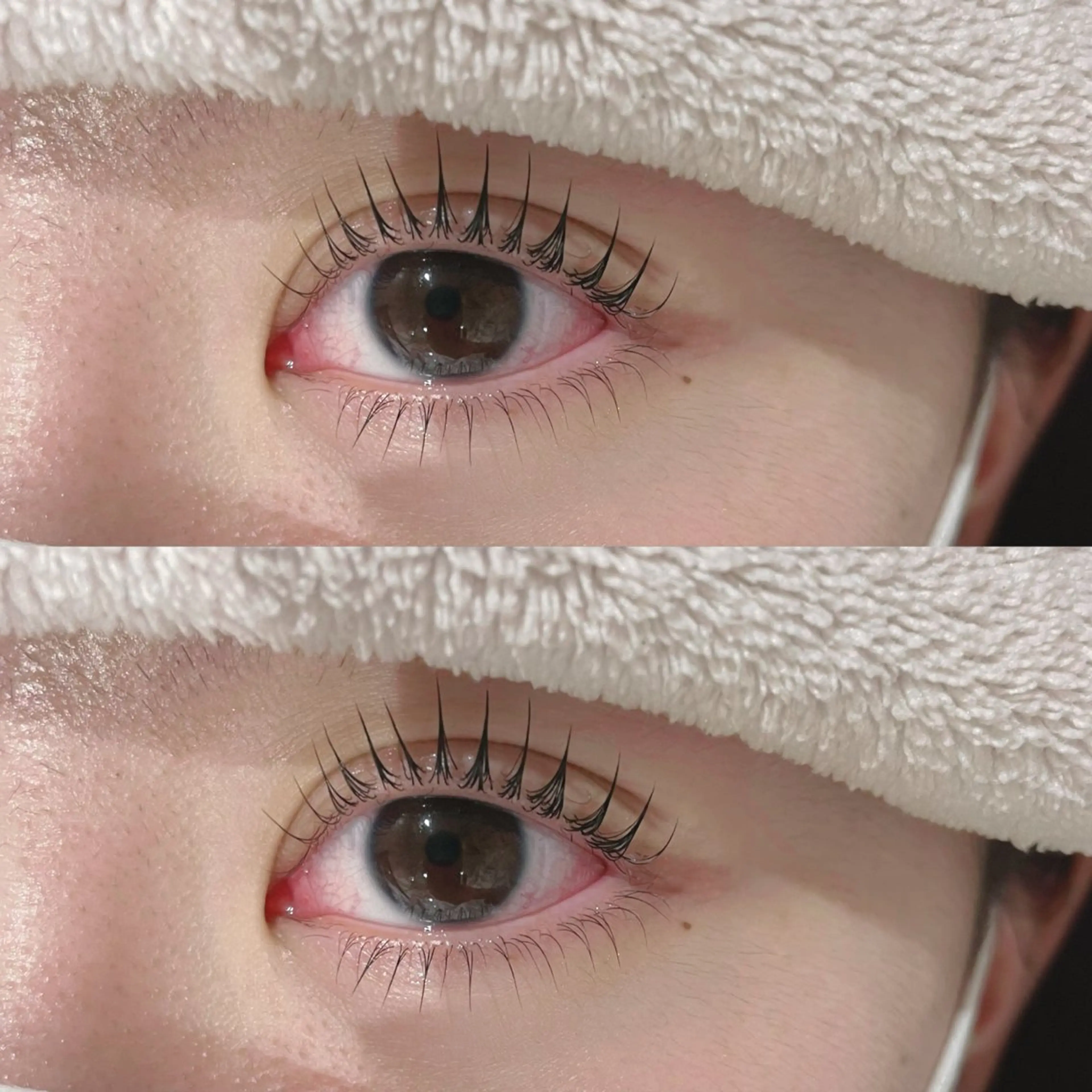 上下まつ毛パーマ（下パーマはモデル様になります。）の写真