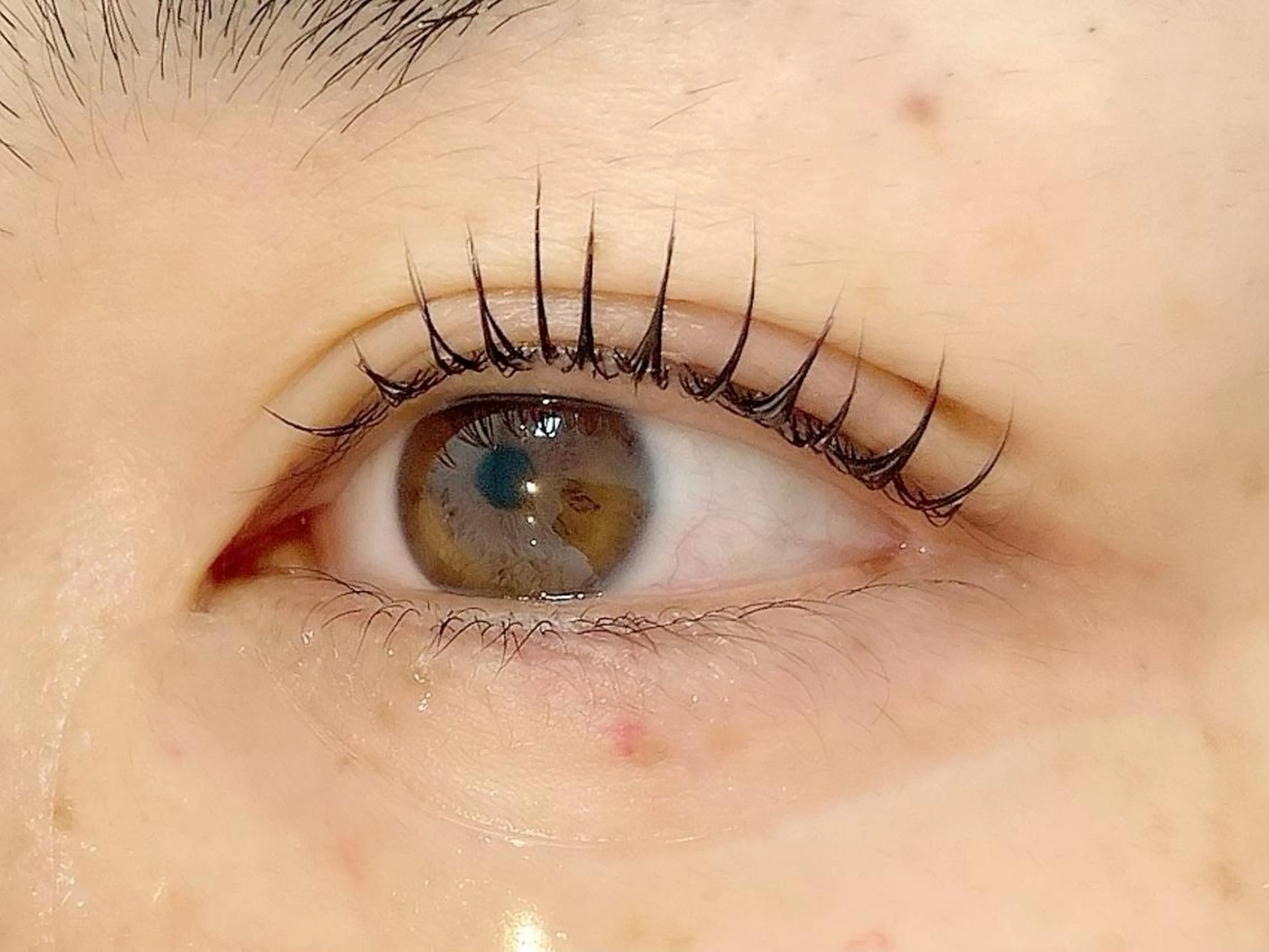 マツエク・マツパ アルターエクラ 飯島のマツエク・マツパデザイン