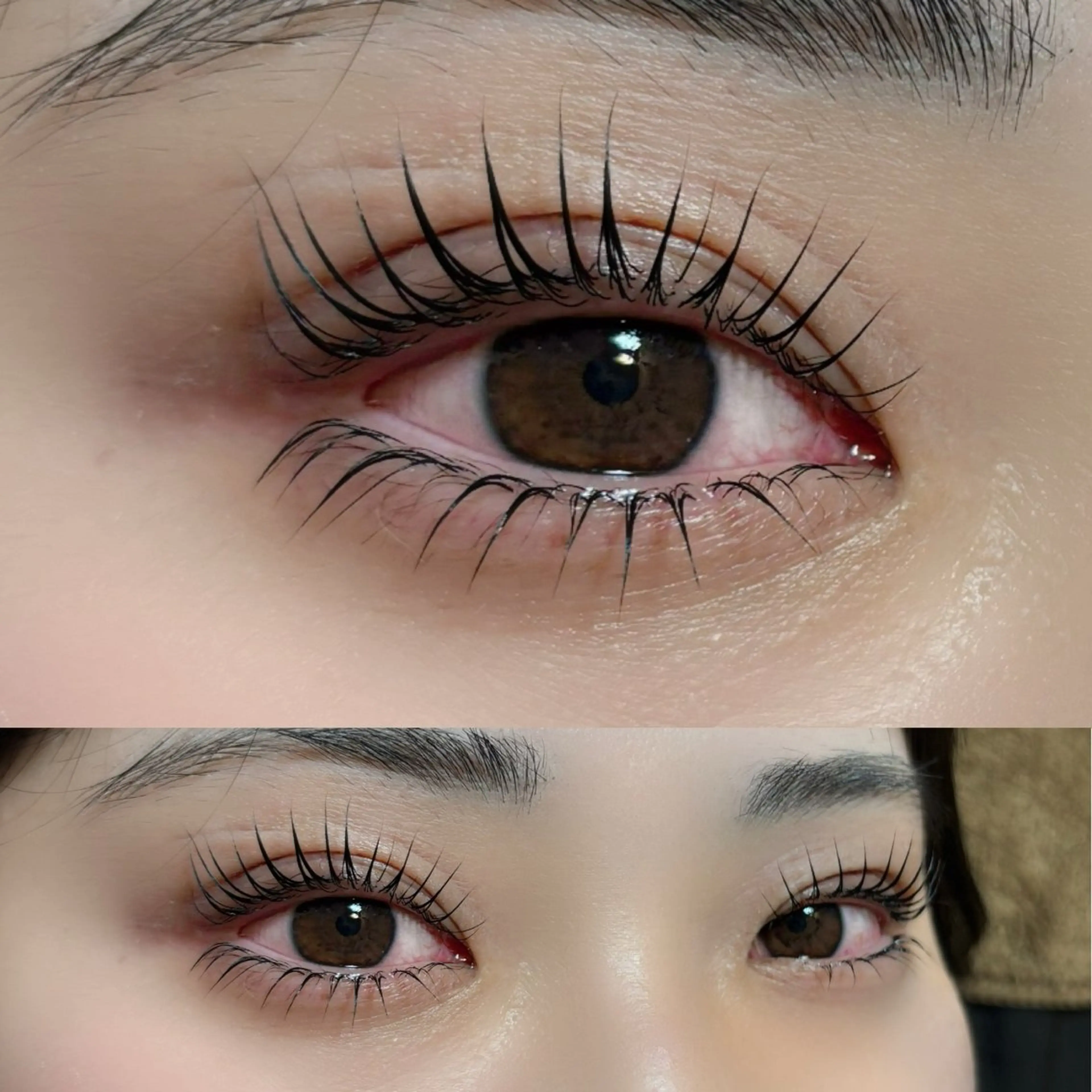 【ミニモ限定価格🪡】🦋上下パリジェンヌ🦋の写真