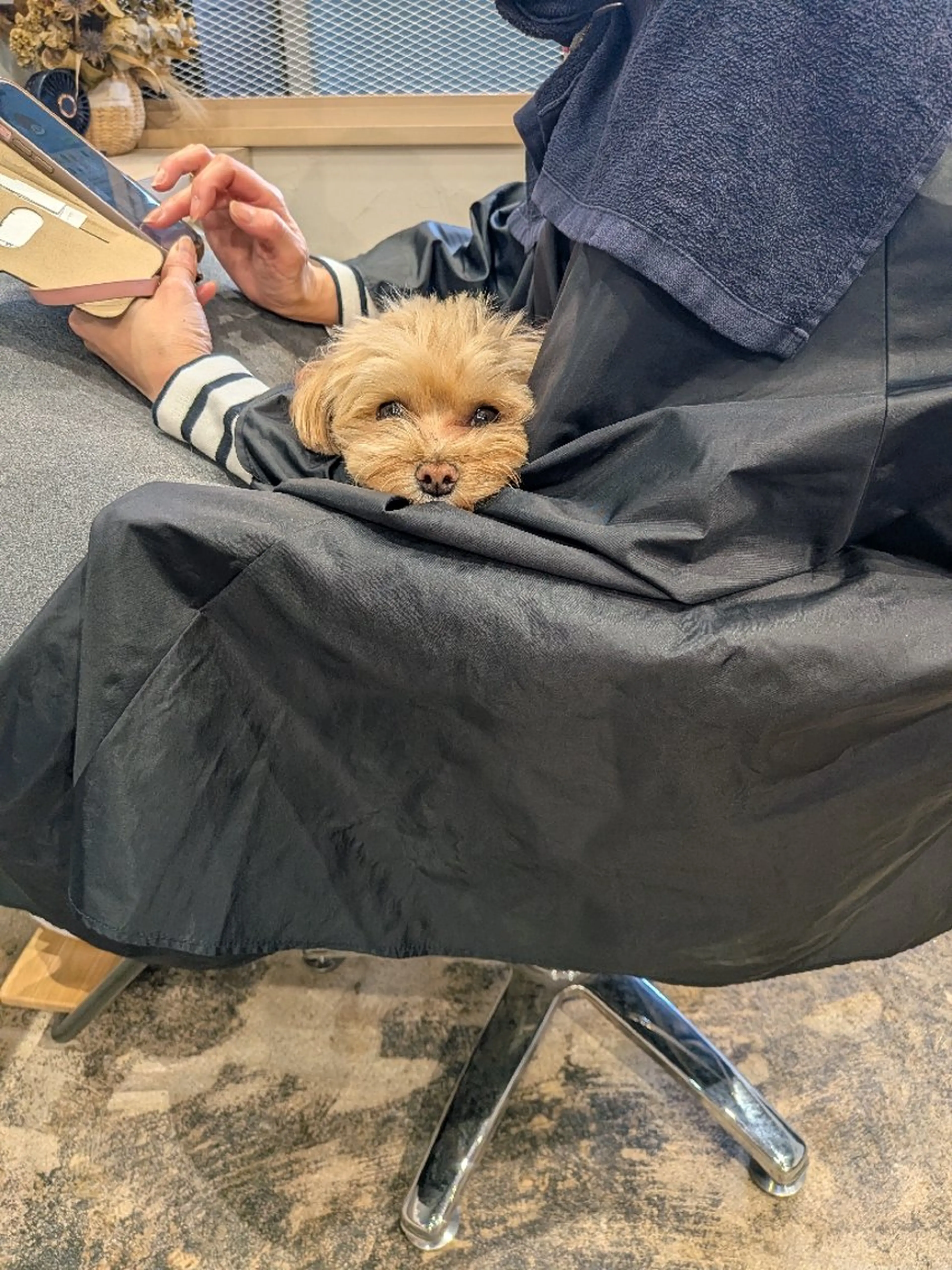 カラー ヘアカラー トリートメント ripero   のエステ・リラクイメージ