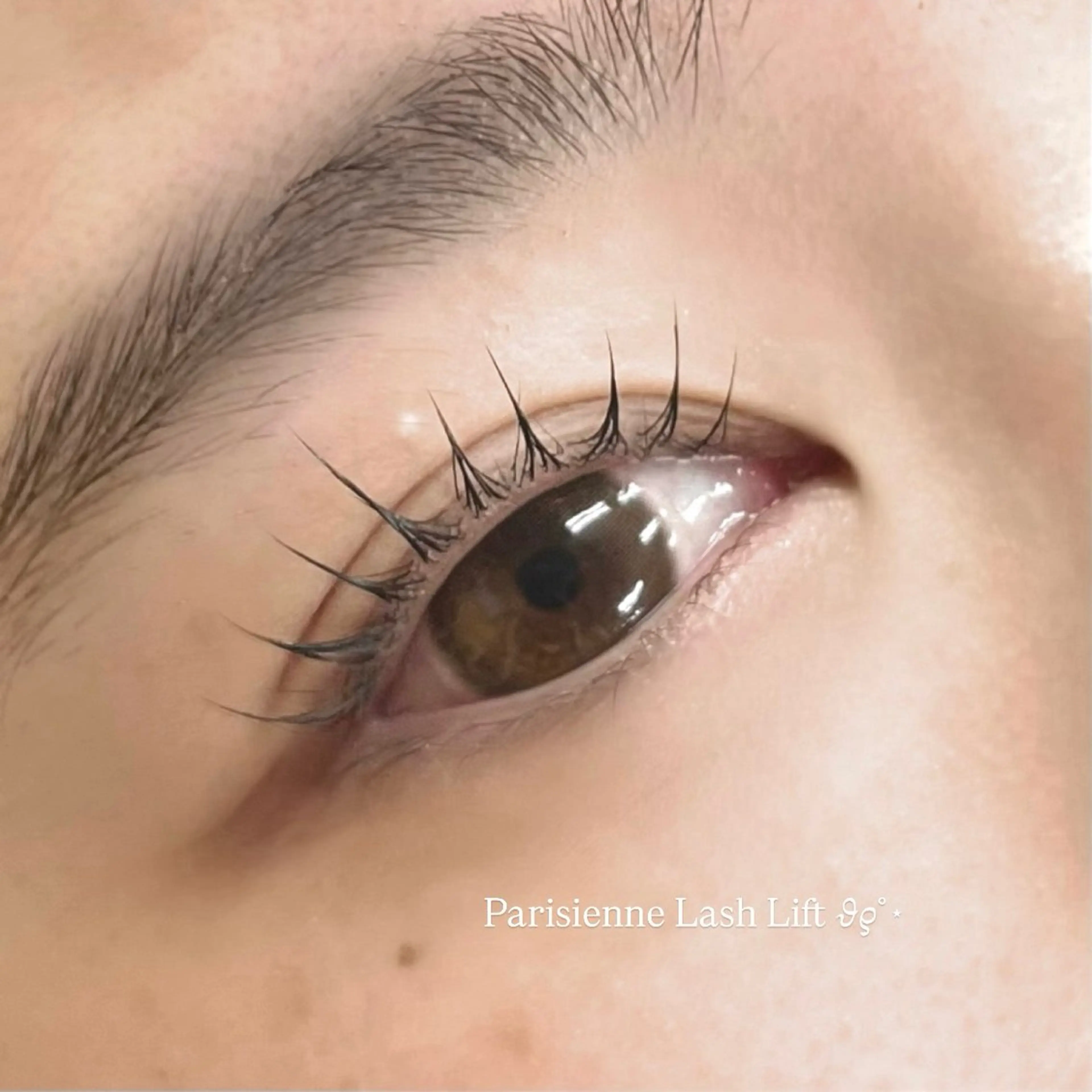 マツエク・マツパ EYELA🪄︎︎ 𝙨𝙚𝙞𝙧𝙖のマツエク・マツパデザイン