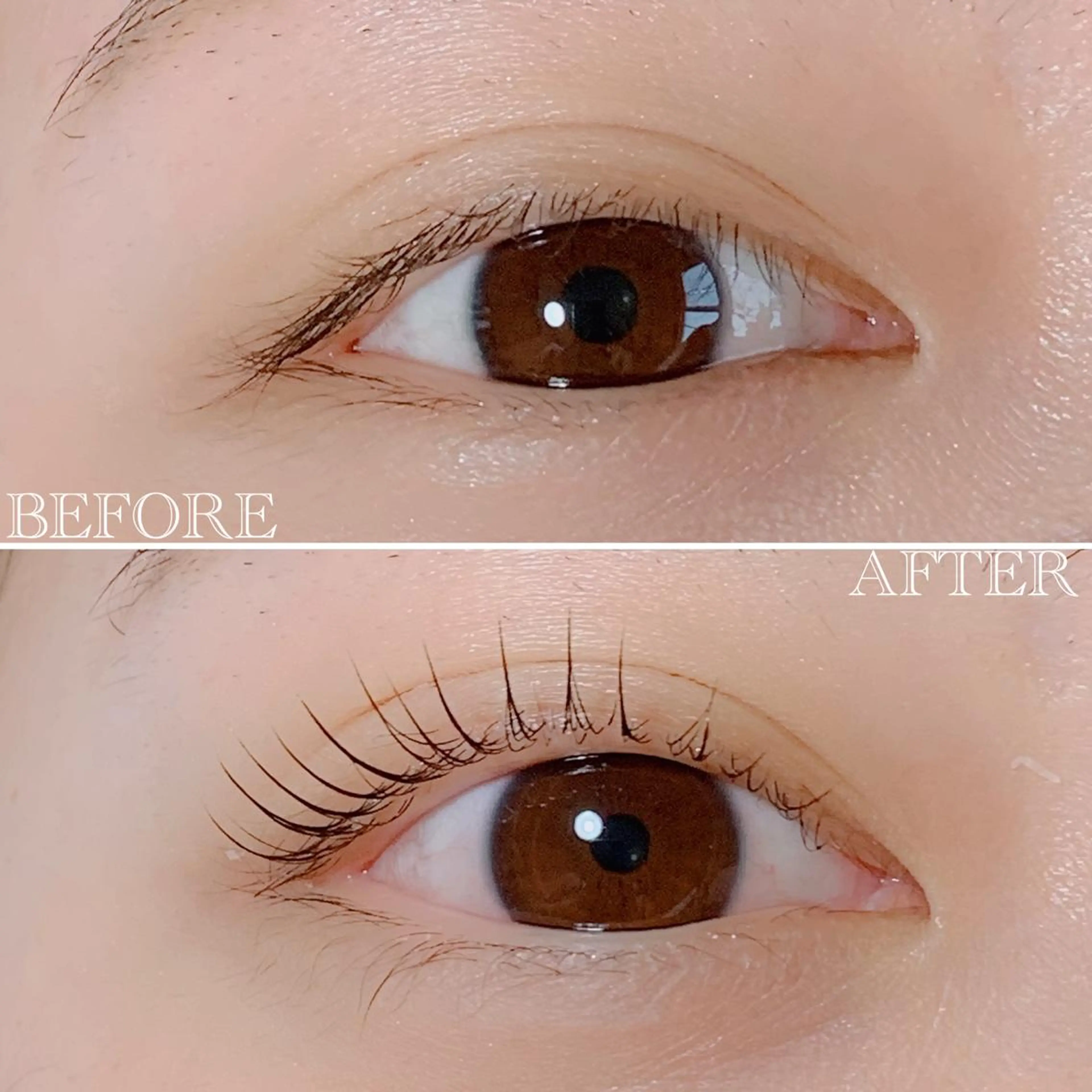 マツエク・マツパ マツパ solua Ayamiのエステ・リラクイメージ