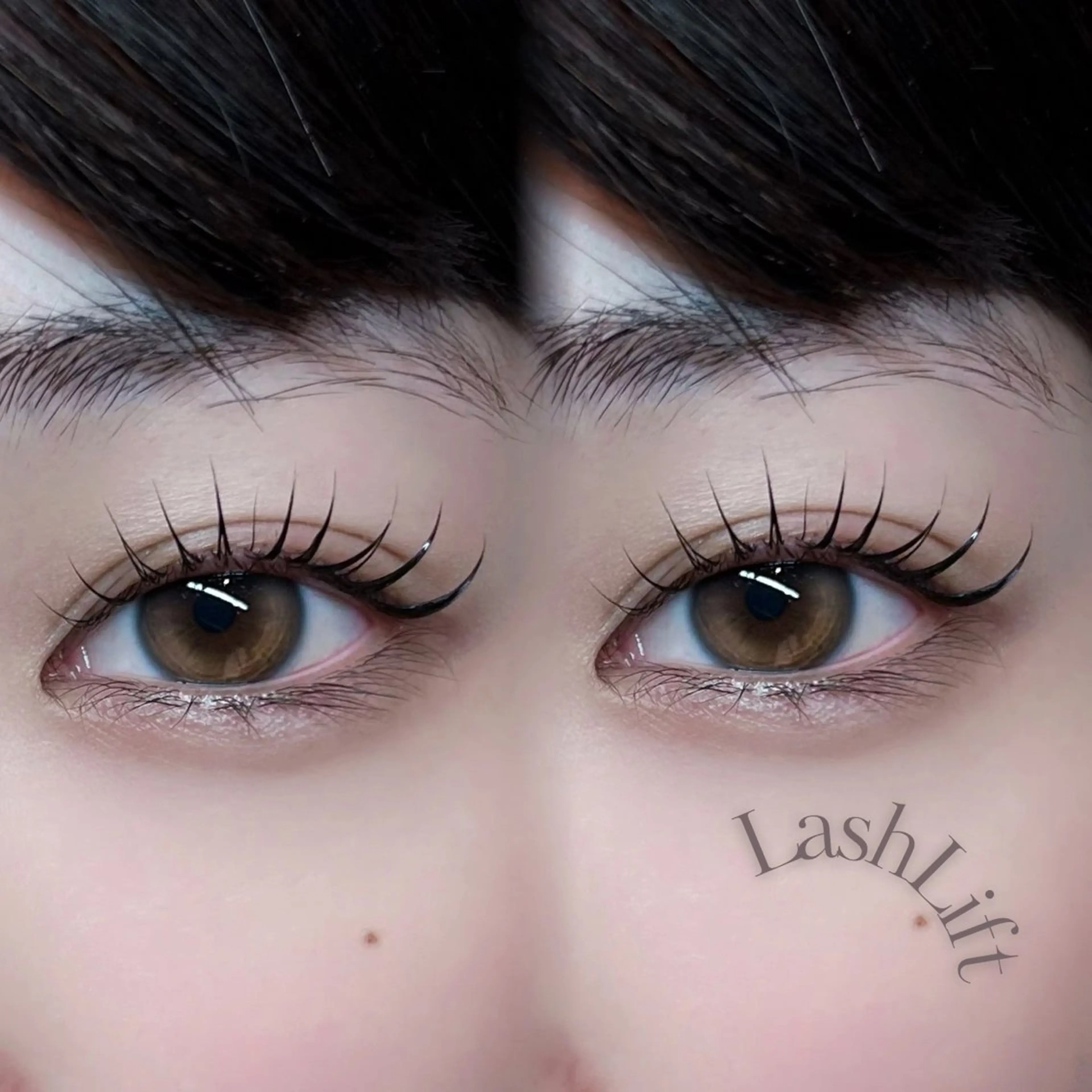 【🩷4月ご新規様限定🩷】ラッシュリフト　¥4,400- 《艶々コーティング仕上げ》の写真