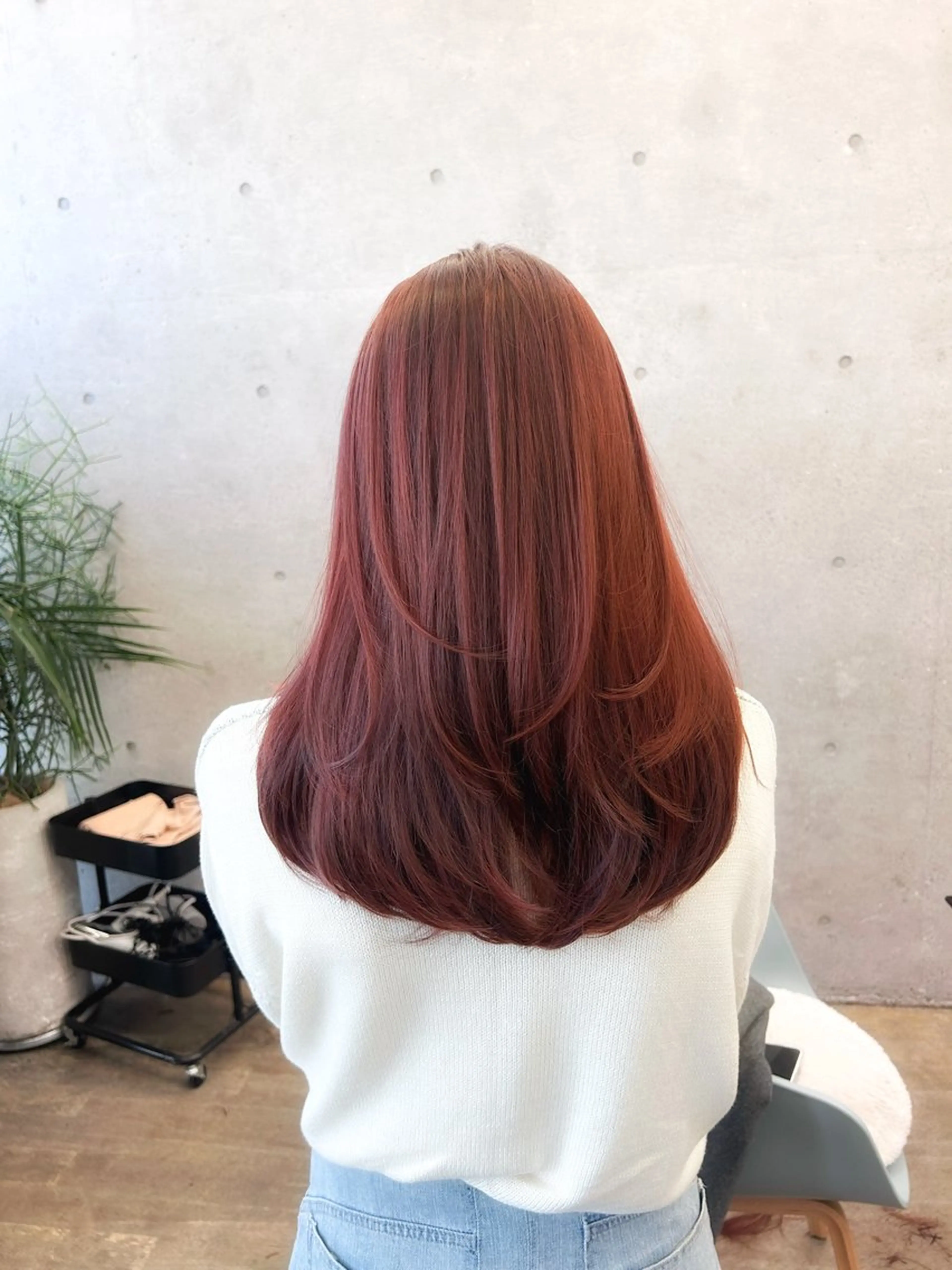 カラー ブリーチ ボルドーカラー ダブルカラー ブリーチなしカラー レッドカラー ウルフ/レイヤー/ ブリーチカラーのヘアスタイル