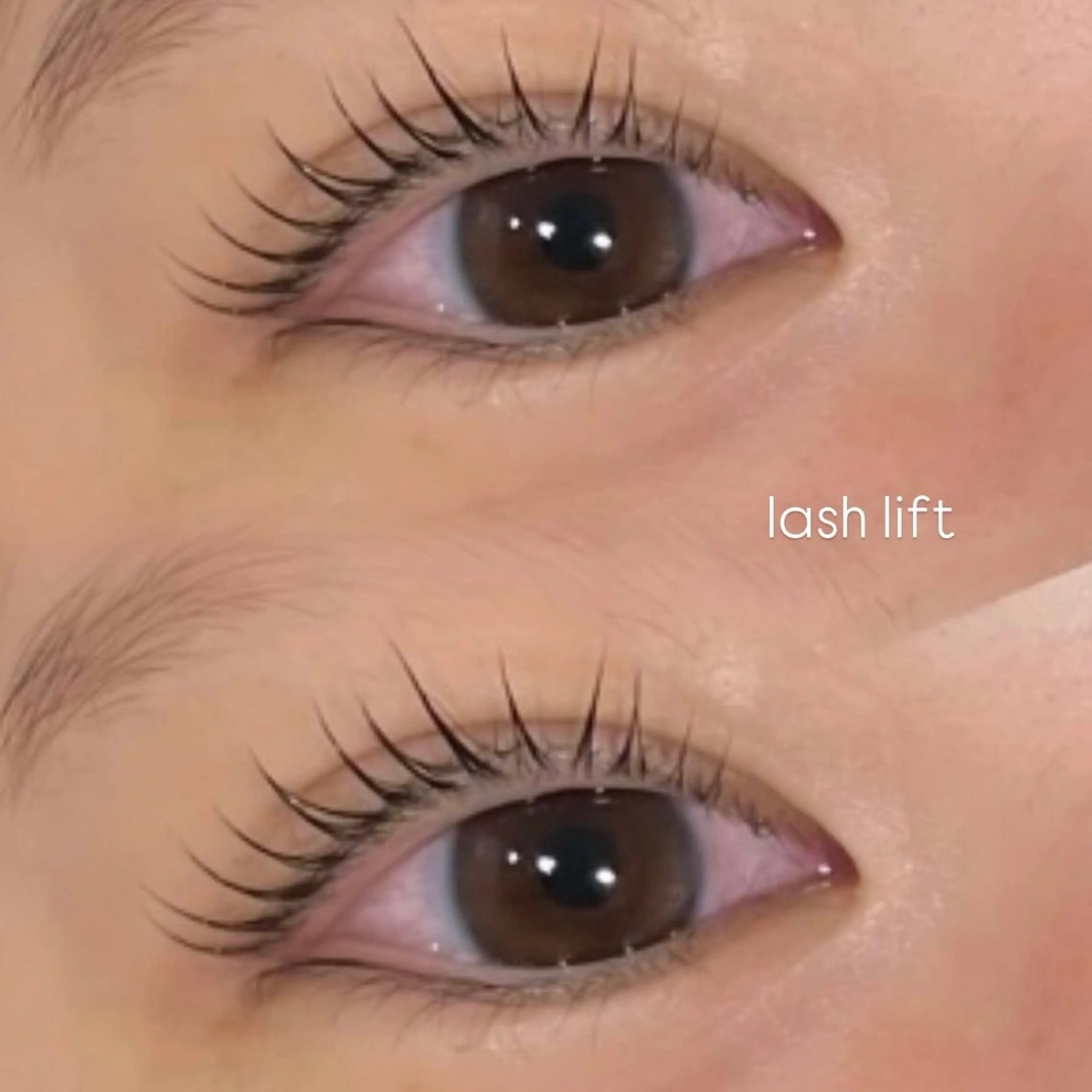 マツエク・マツパ j u e所属・jue sakuの眉毛・アイブロウイメージ