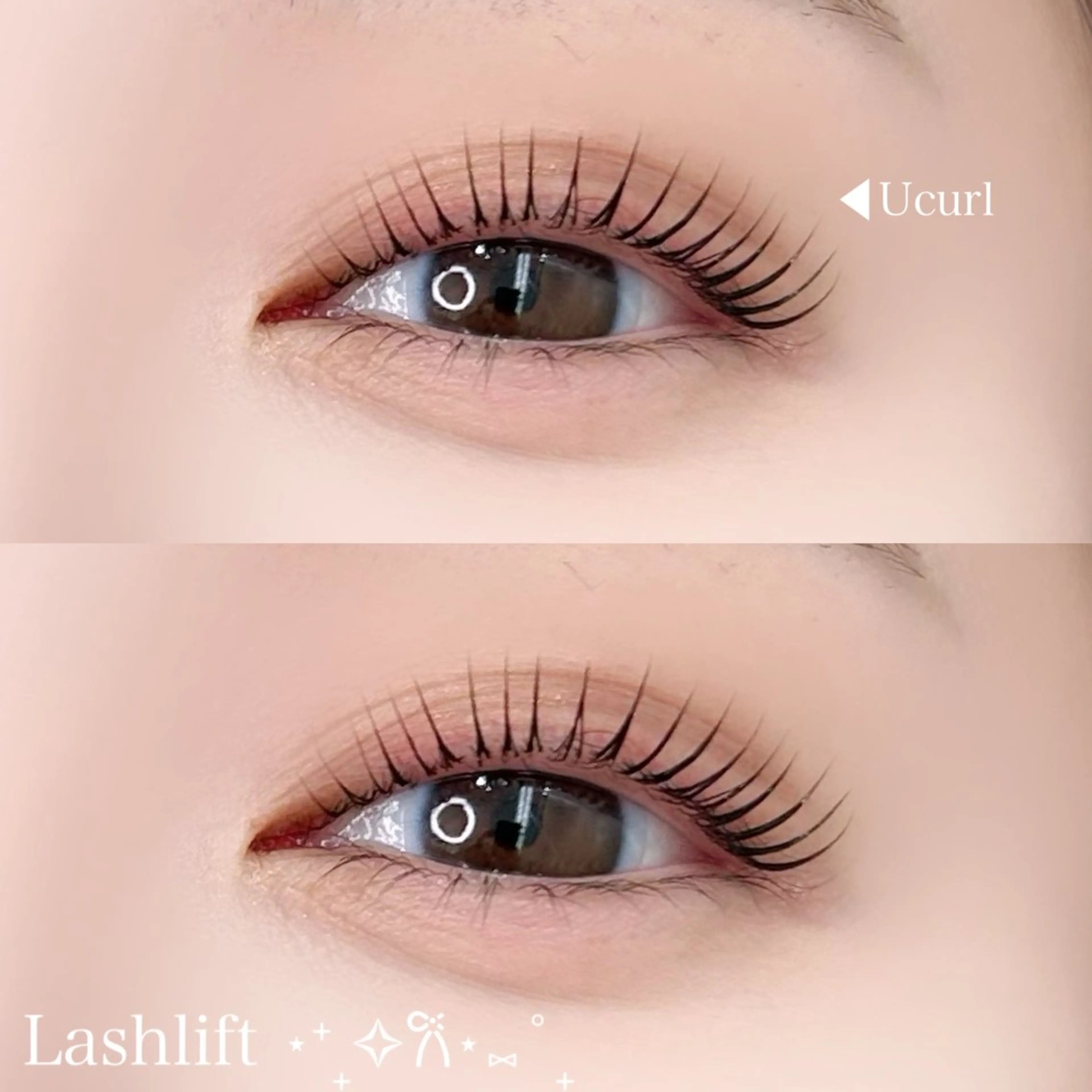 【4月限定☘️】まつ毛パーマorパリジェンヌラッシュリフト⛓️束感仕上げあり🎵の写真