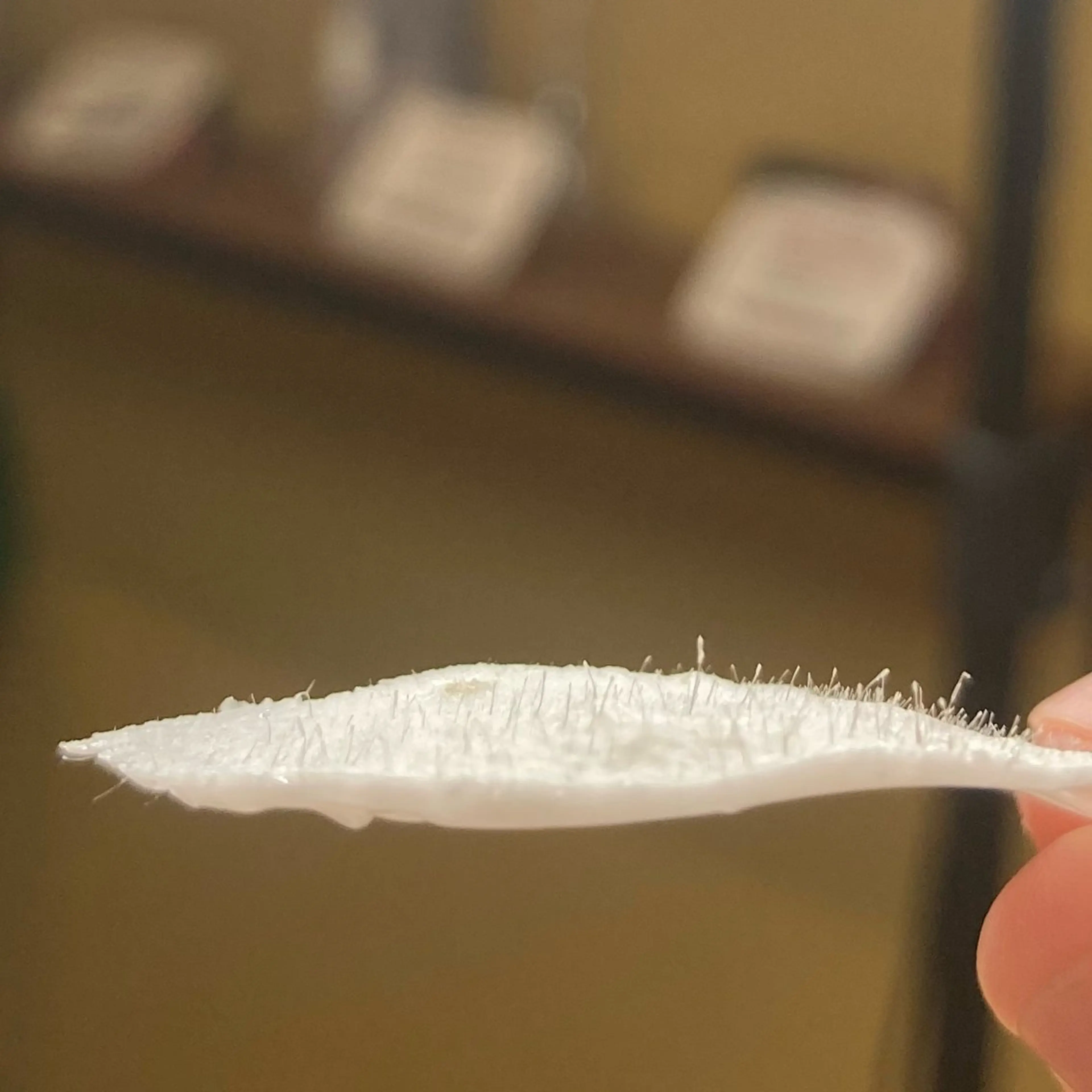 メンズアイブロウ /HARUKAの眉毛・アイブロウイメージ