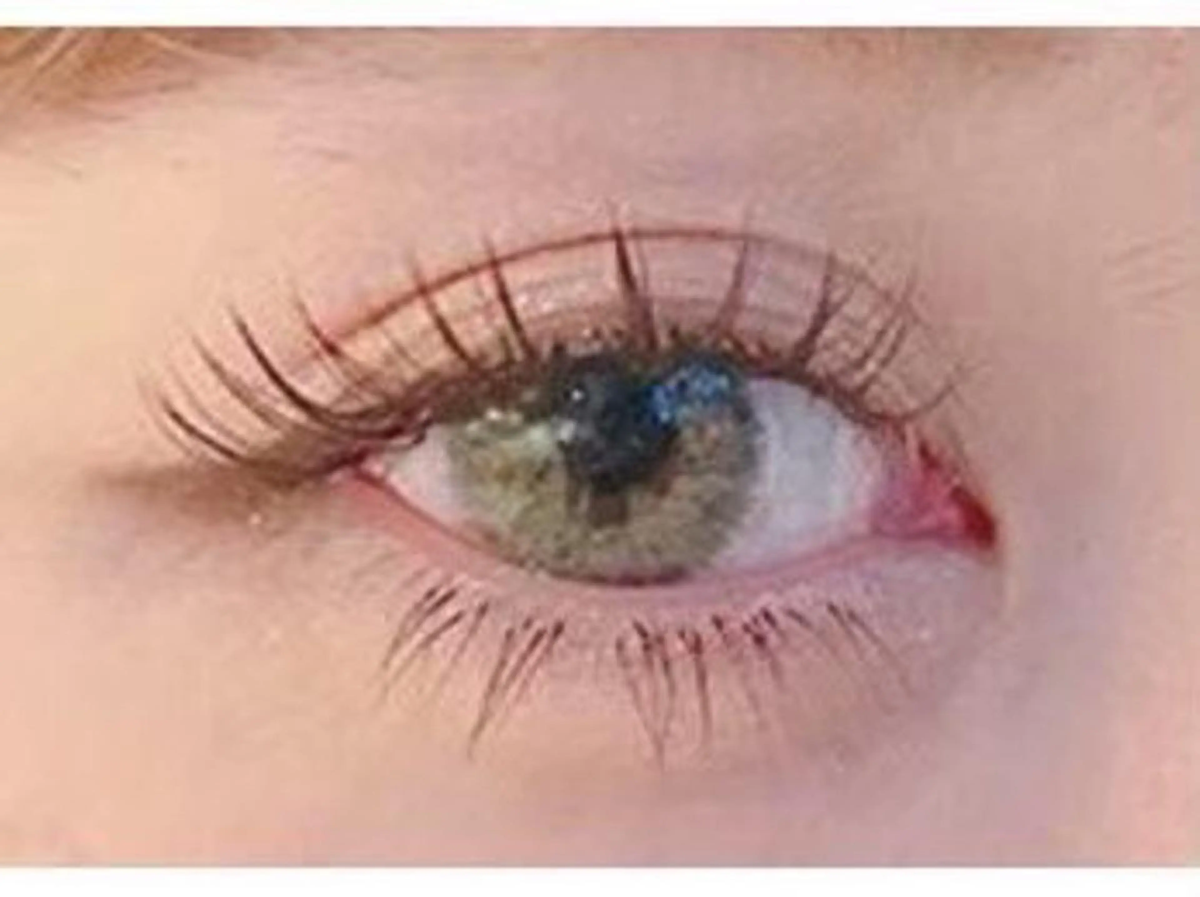 濃く見せたい方必見🦋カシミヤセーブル100本まで付け放題🌟オフ&美容成分入りコーティング付きの写真