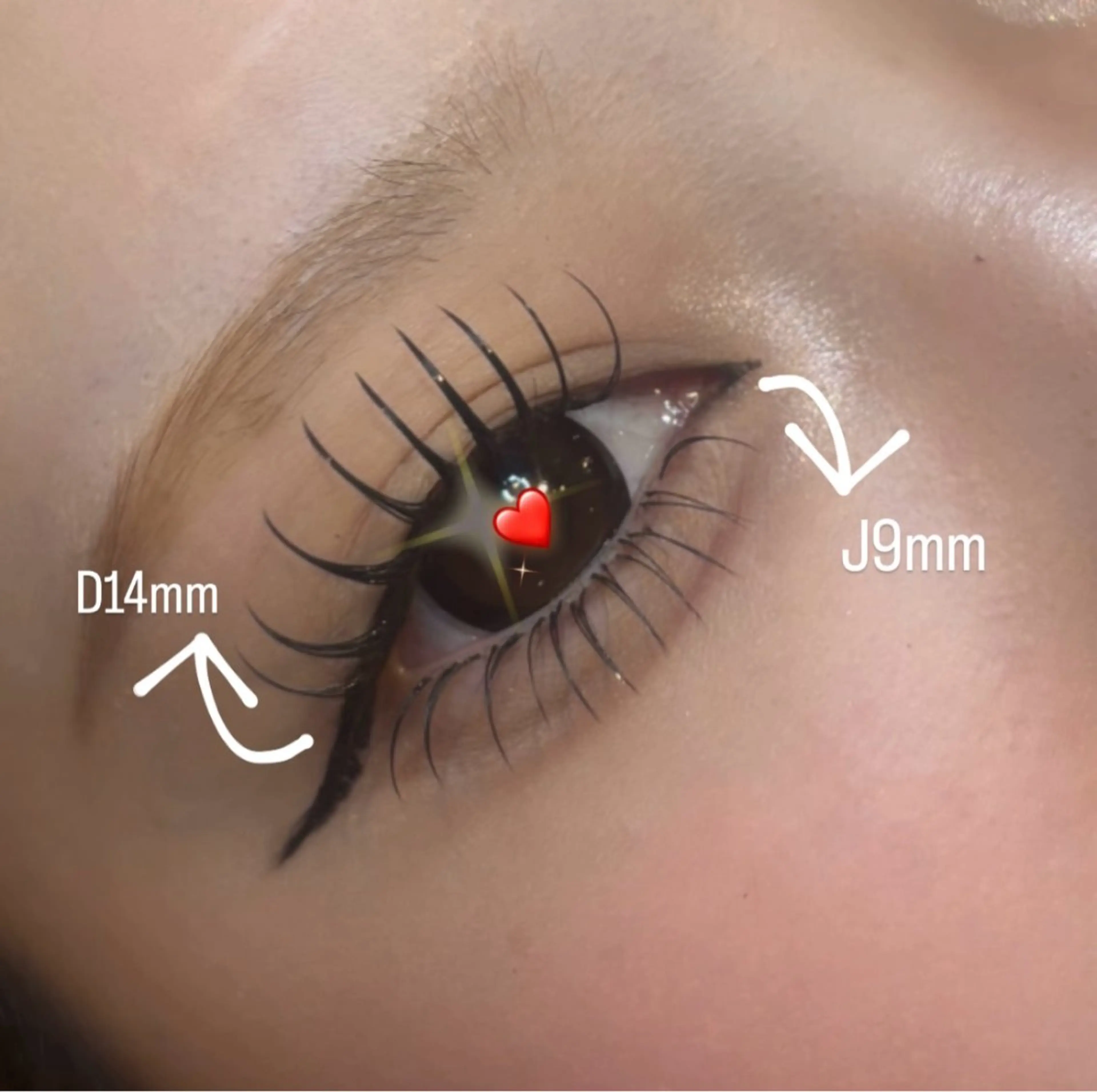 LED✨✨上下マツエクモデル募集中(上140本・下30本)⚠️オフありの場合プラス500円かかります！の写真