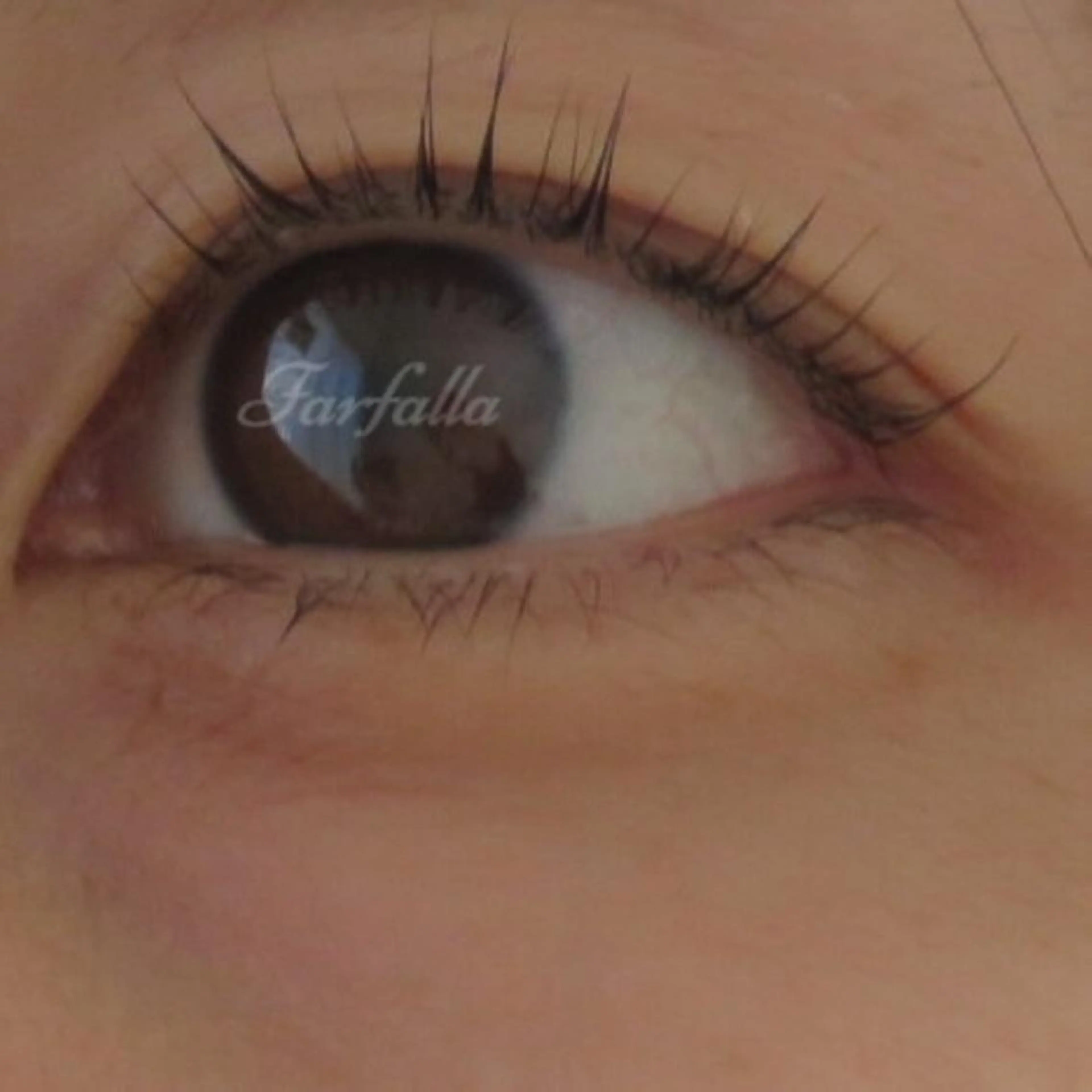 マツエク・マツパ farfalla mikaのマツエク・マツパデザイン