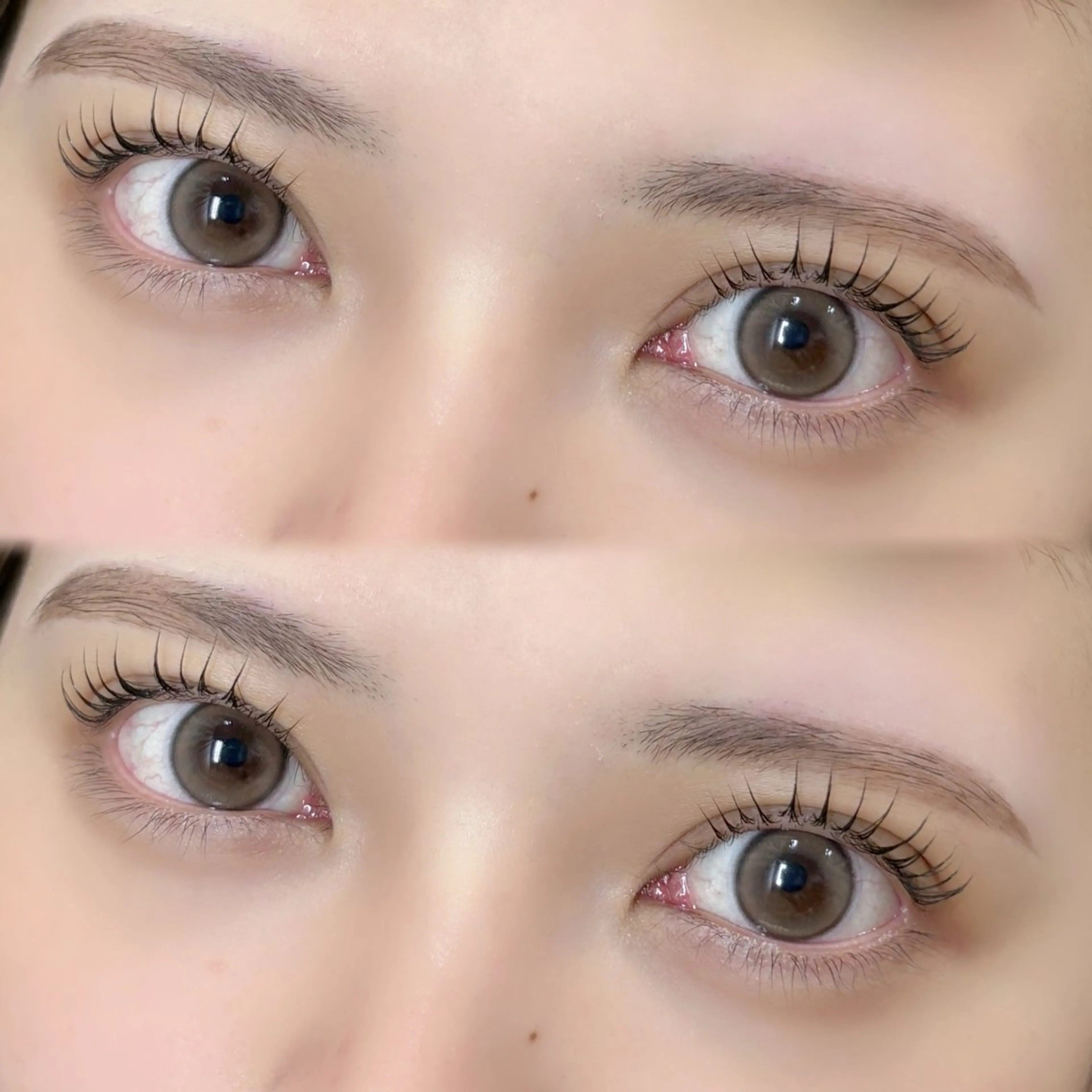 パリジェンヌラッシュリフト👁️♥の写真