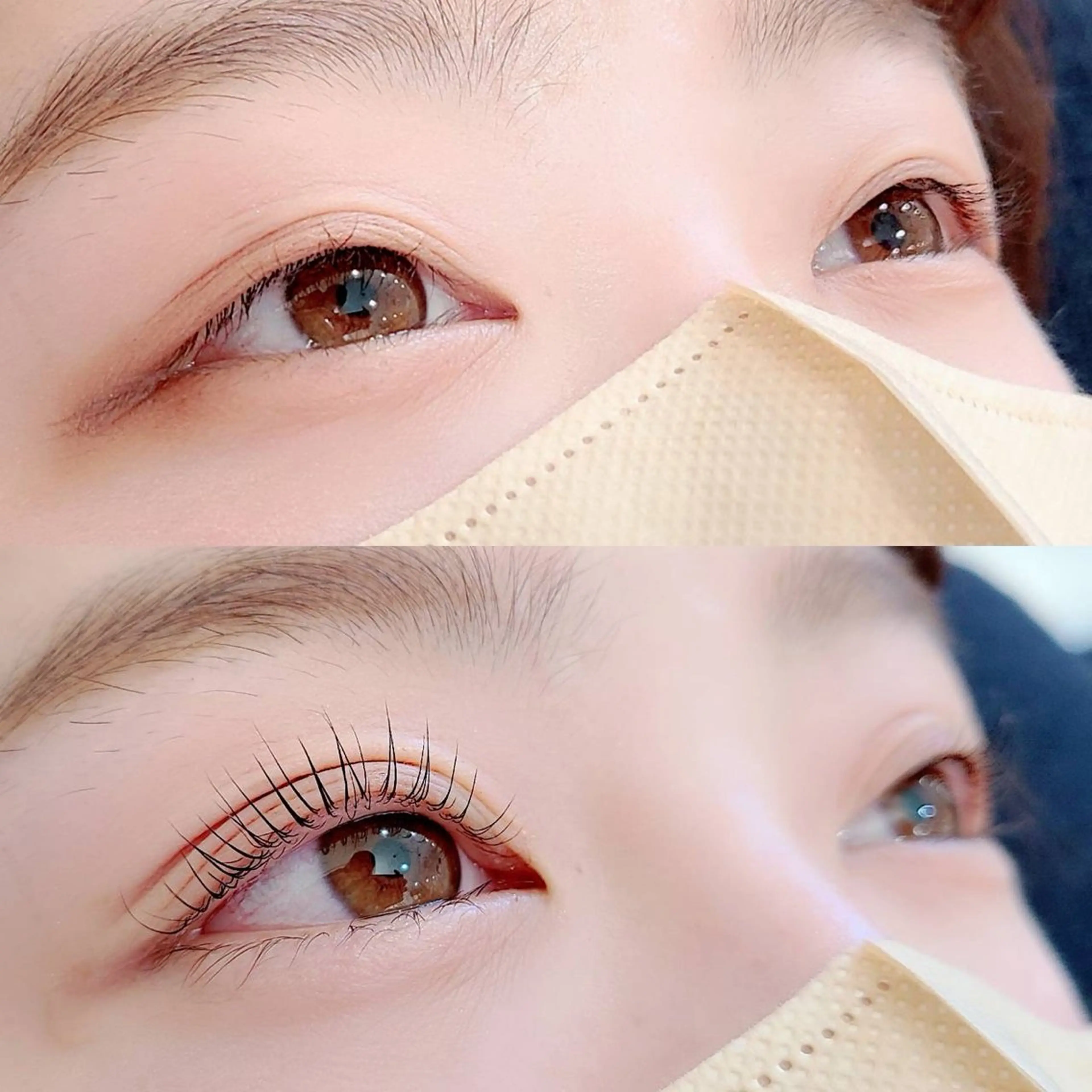 【平日限定】まつげパーマの写真