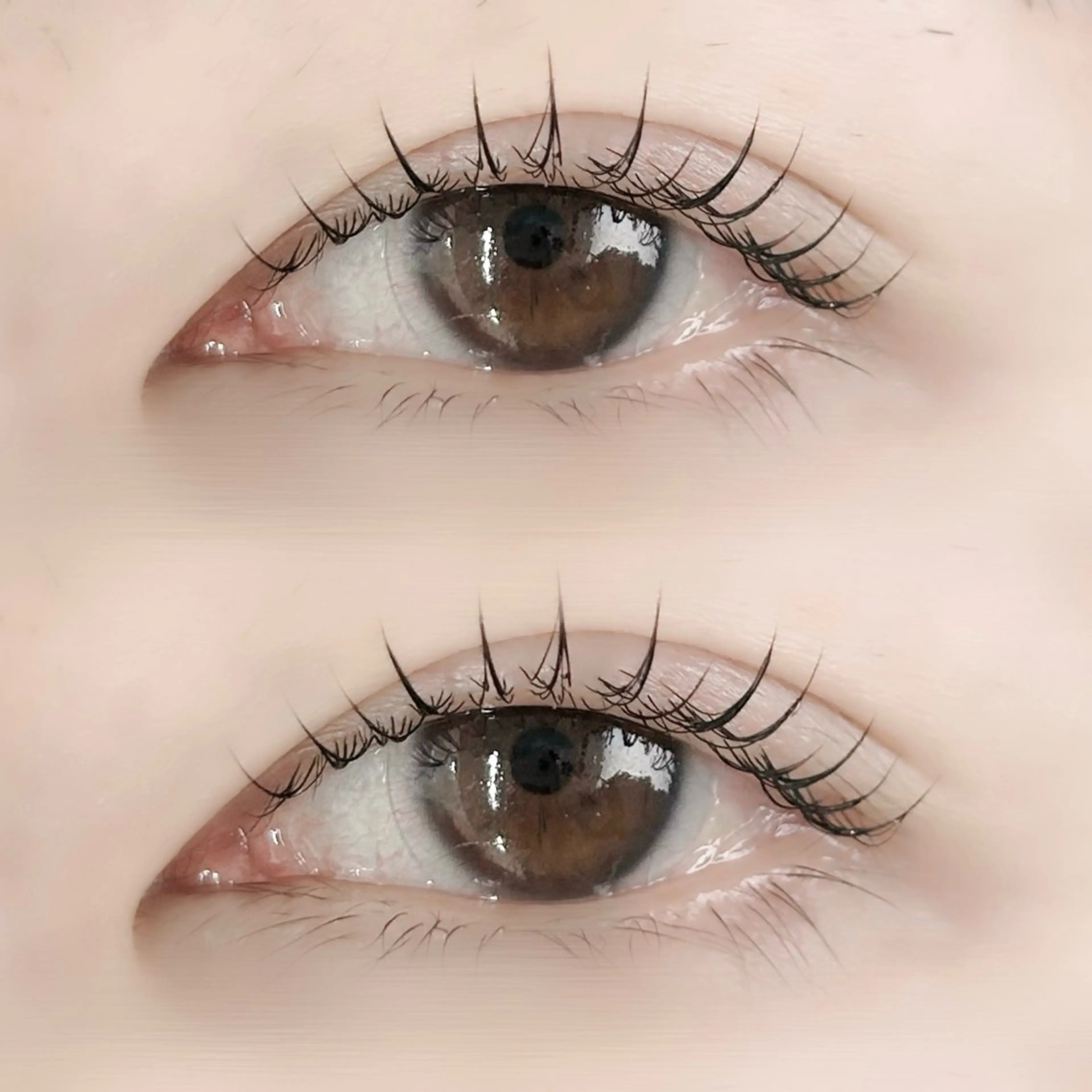 マツエク・マツパ CHEMIR meiのマツエク・マツパデザイン