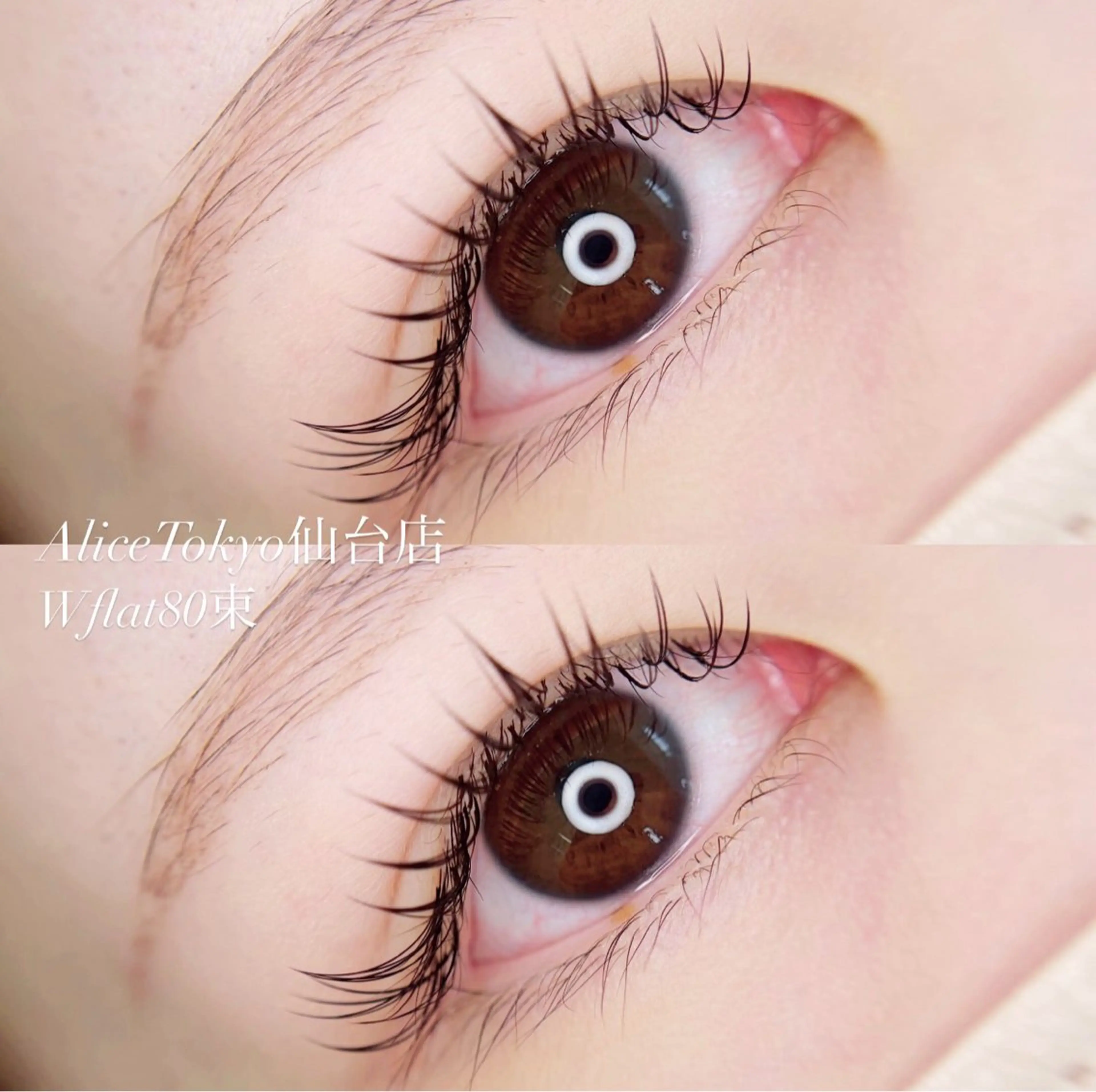 🦋ダブルフラットラッシュ🦋【半額sele】の写真