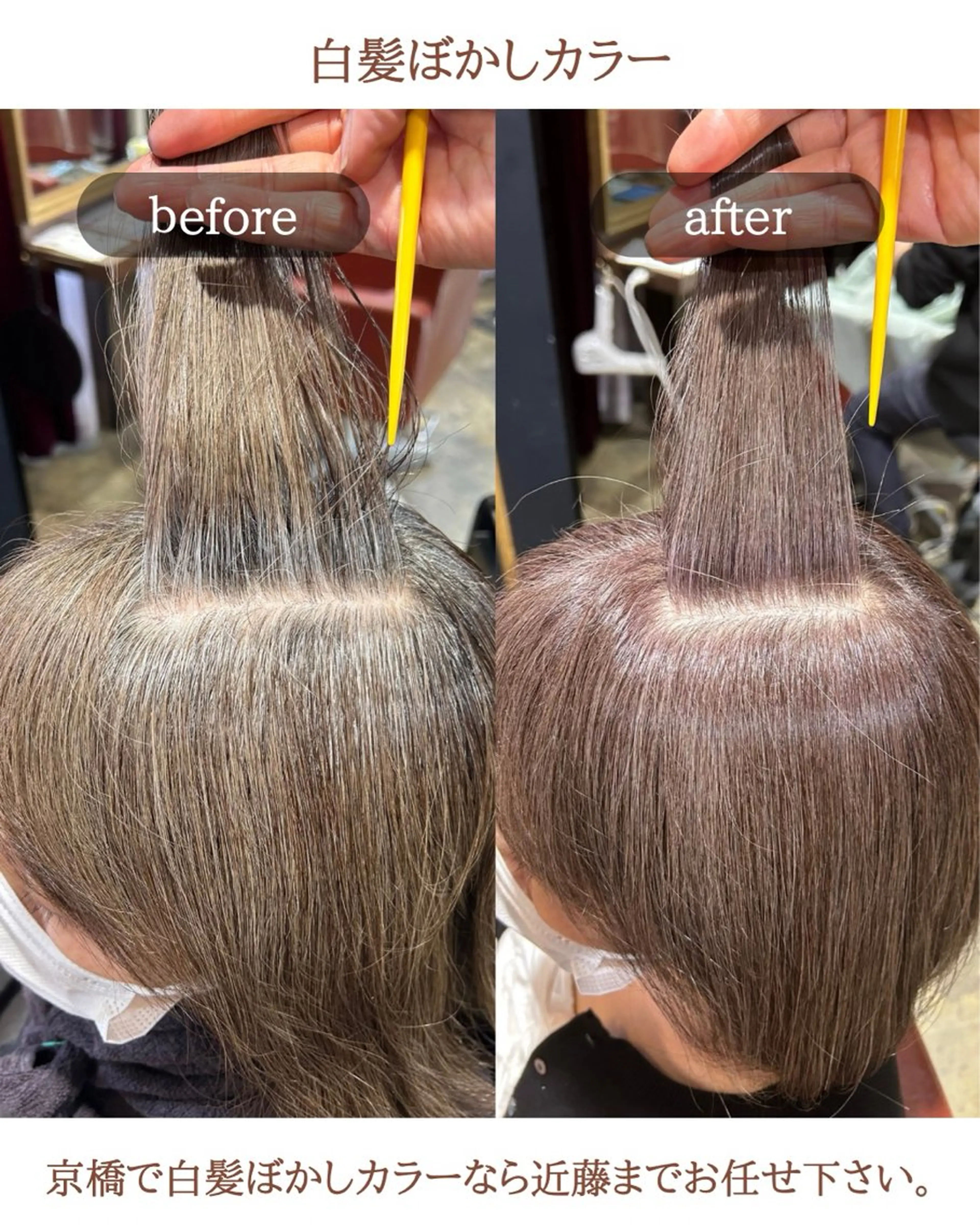 ショート カラー ハイライトカラー ハイライト 縄 勇希のヘアスタイル