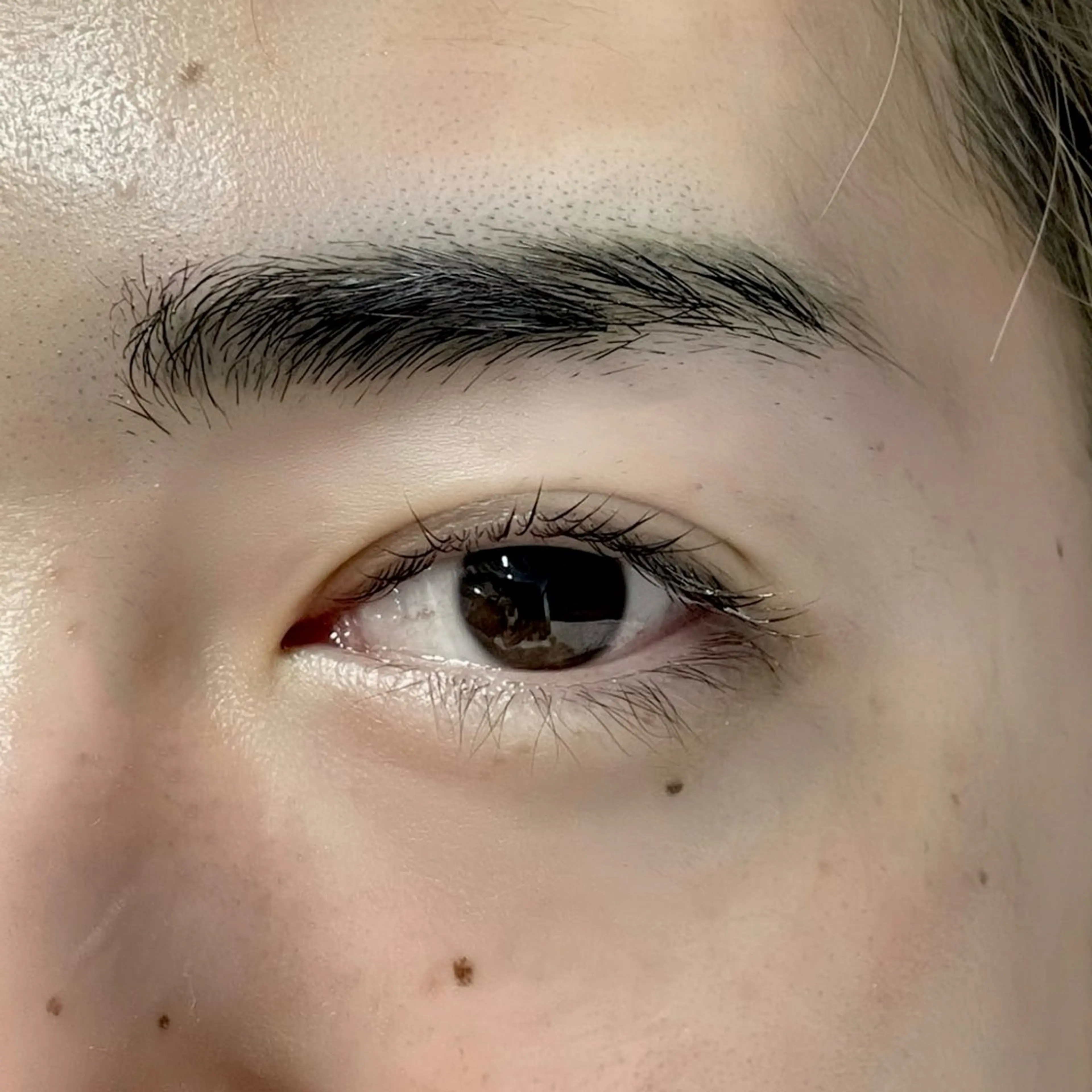 メンズ マツエク・マツパ メンズパーマ ナチュラル 一重×まつ毛パーマ マツパ mihiro 🐈‍⬛の眉毛・アイブロウイメージ