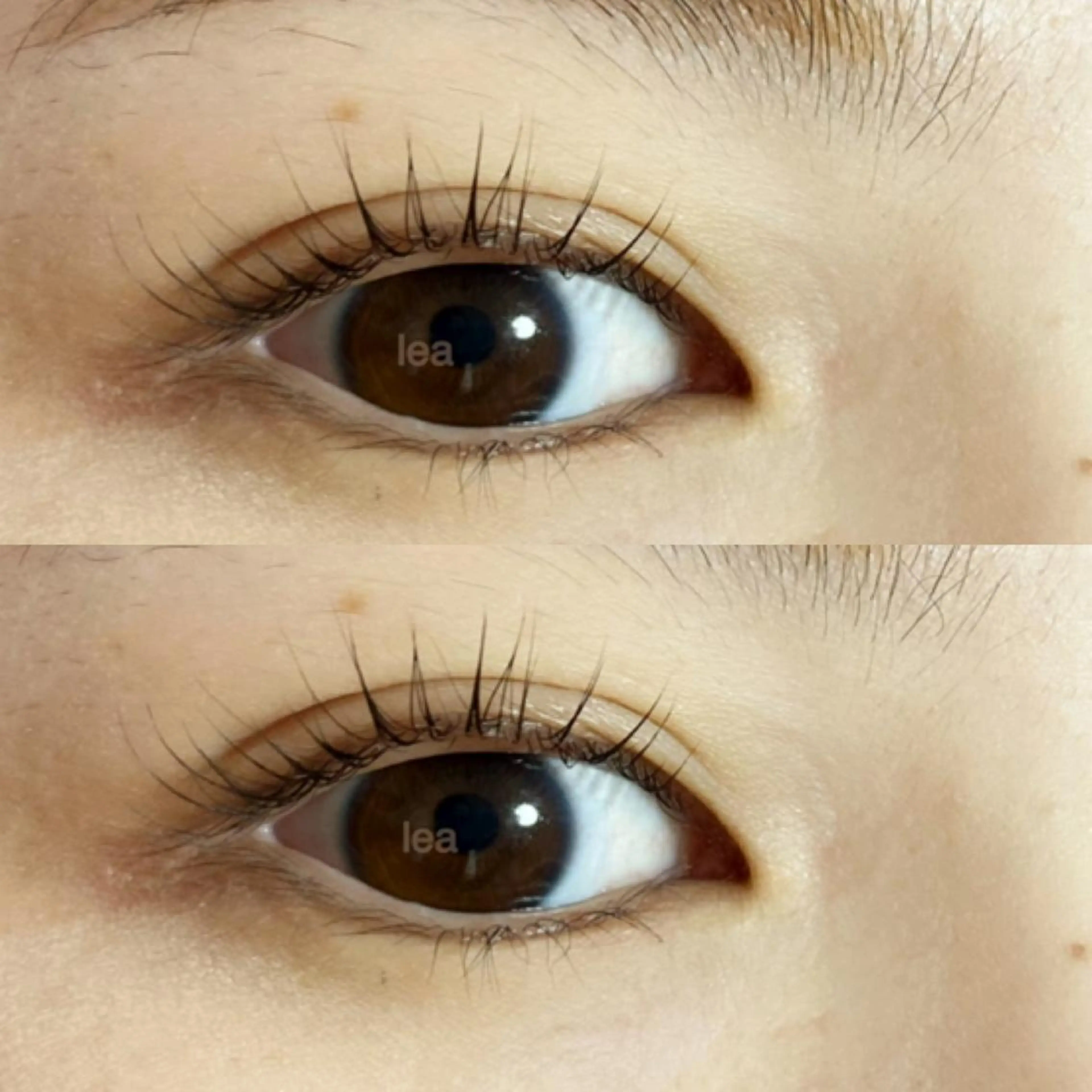 マツエク・マツパ パリジェンヌラッシュリフト eyelash leaのマツエク・マツパデザイン