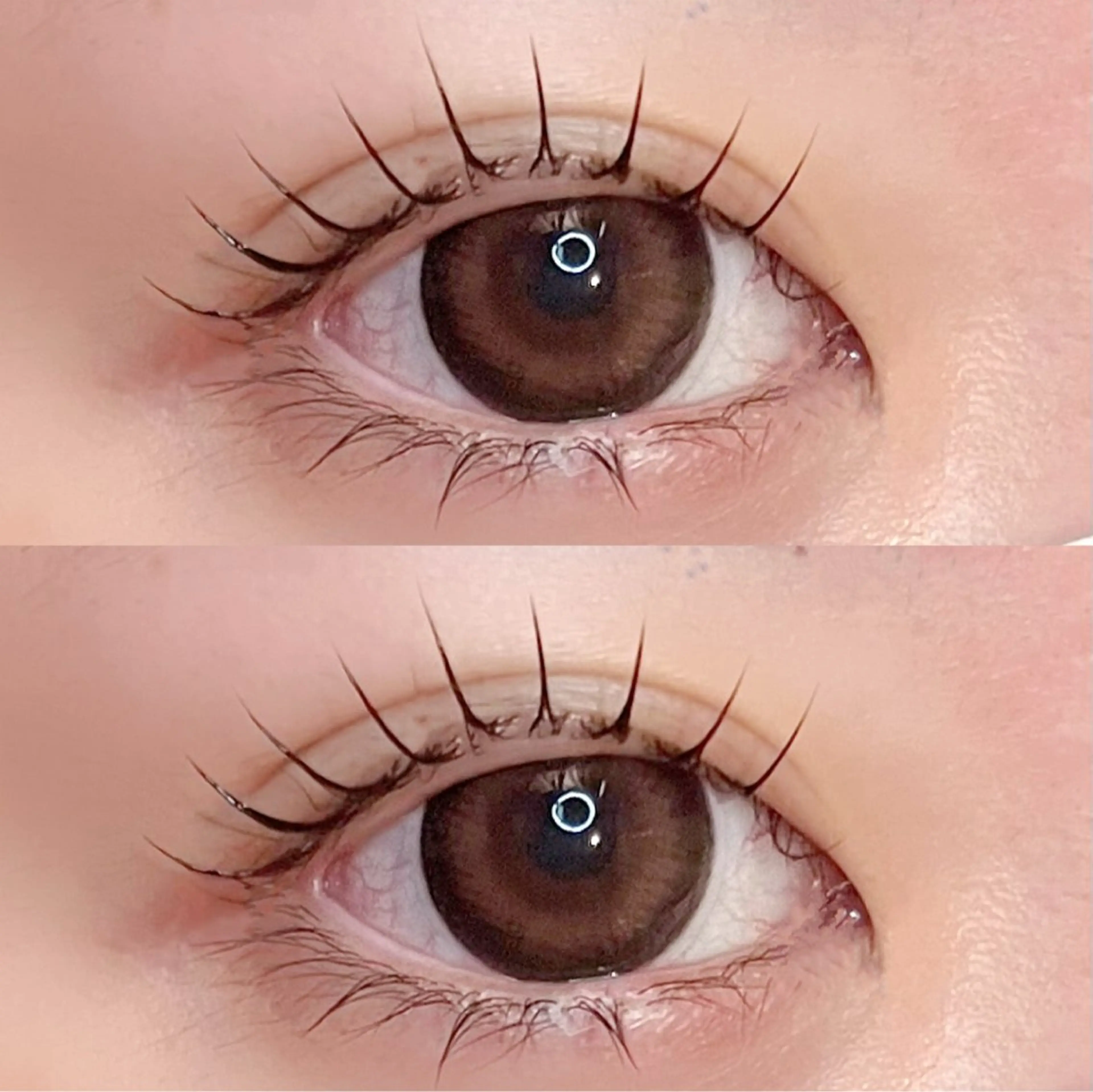 マツエク・マツパ パリジェンヌラッシュリフト 🌈emma桃山台 秋山🌈のマツエク・マツパデザイン