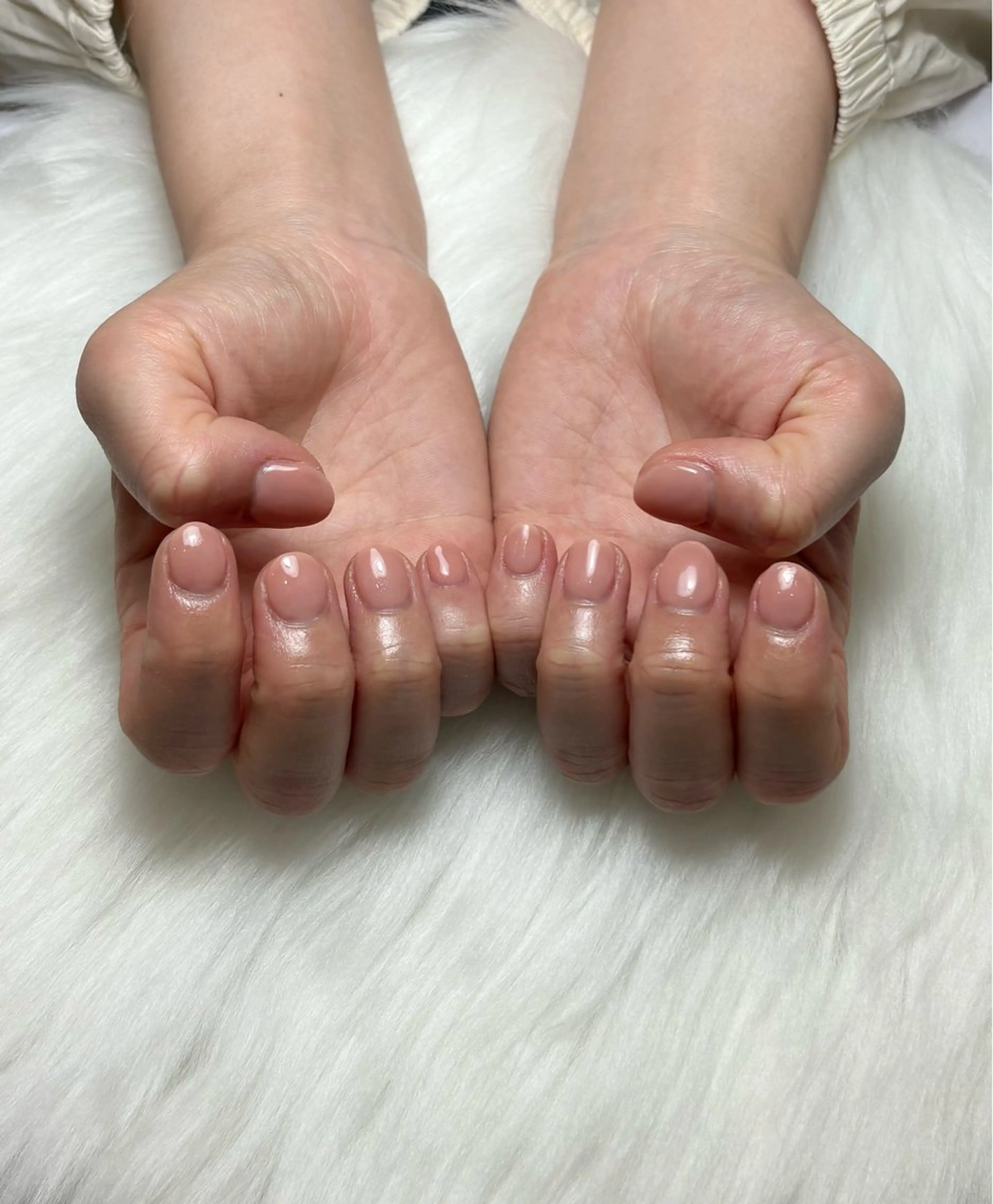 オフありワンカラーの写真