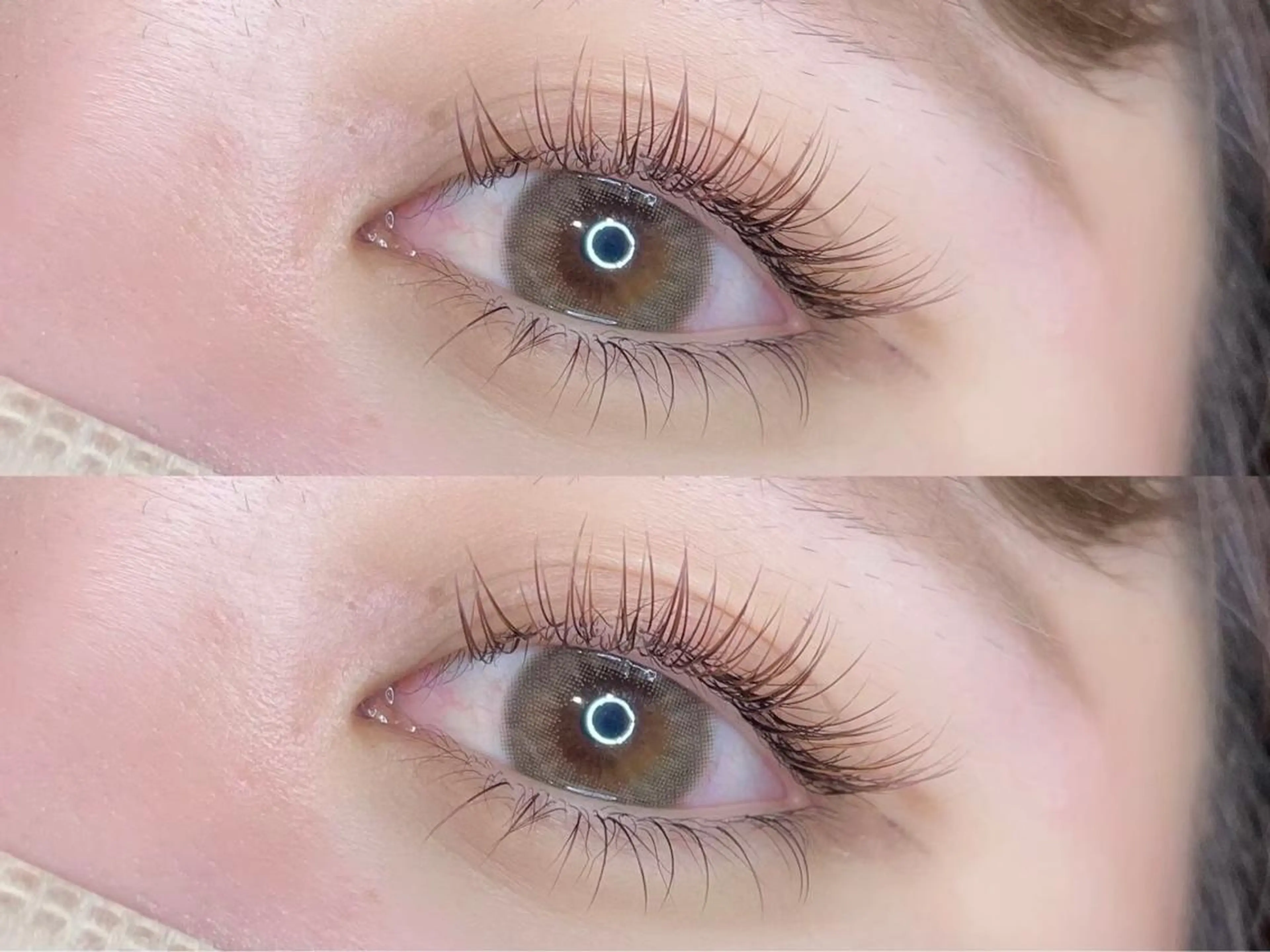 🌙 フラットラッシュ 100本 🌙の写真