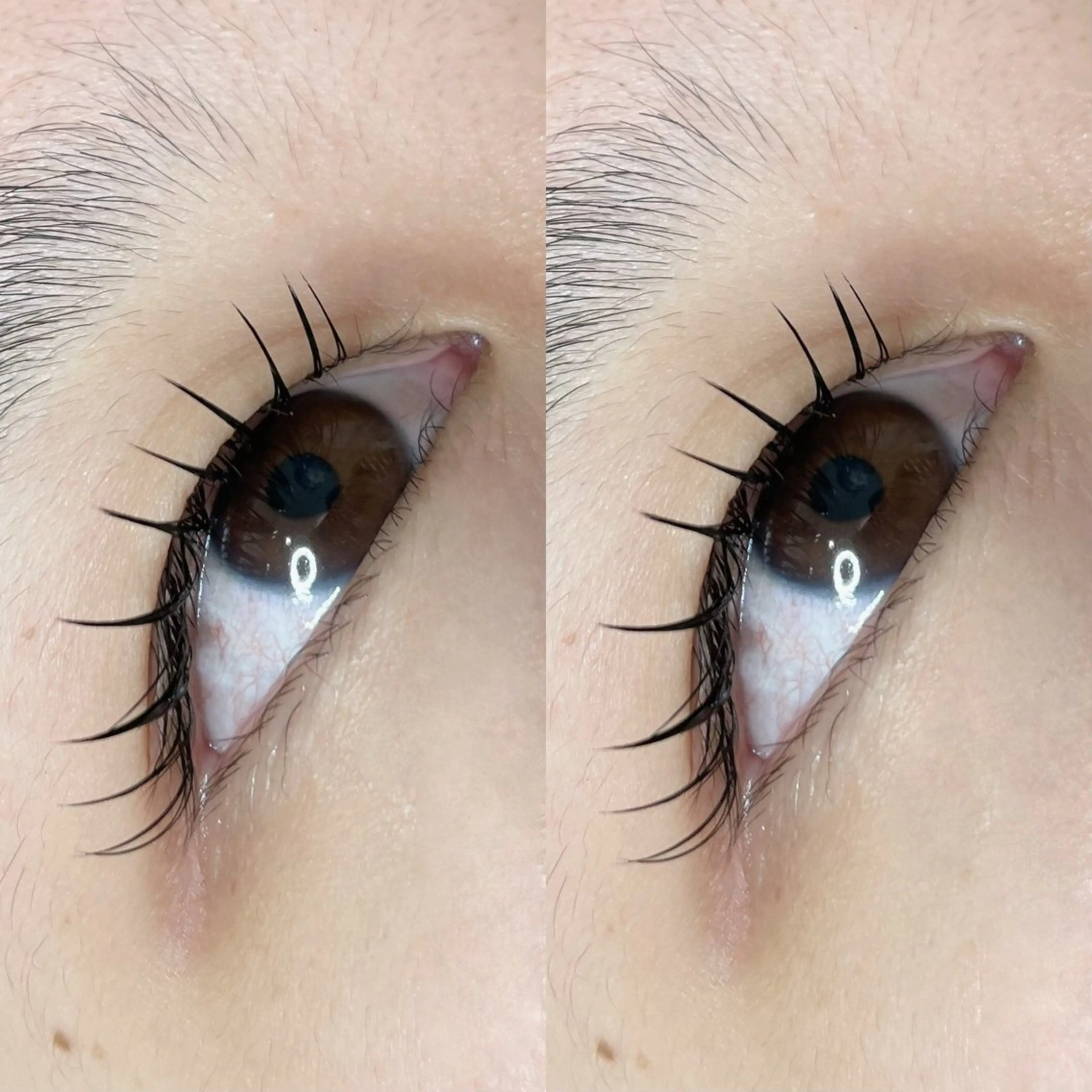 マツエク・マツパ 渡り 麻世のマツエク・マツパデザイン