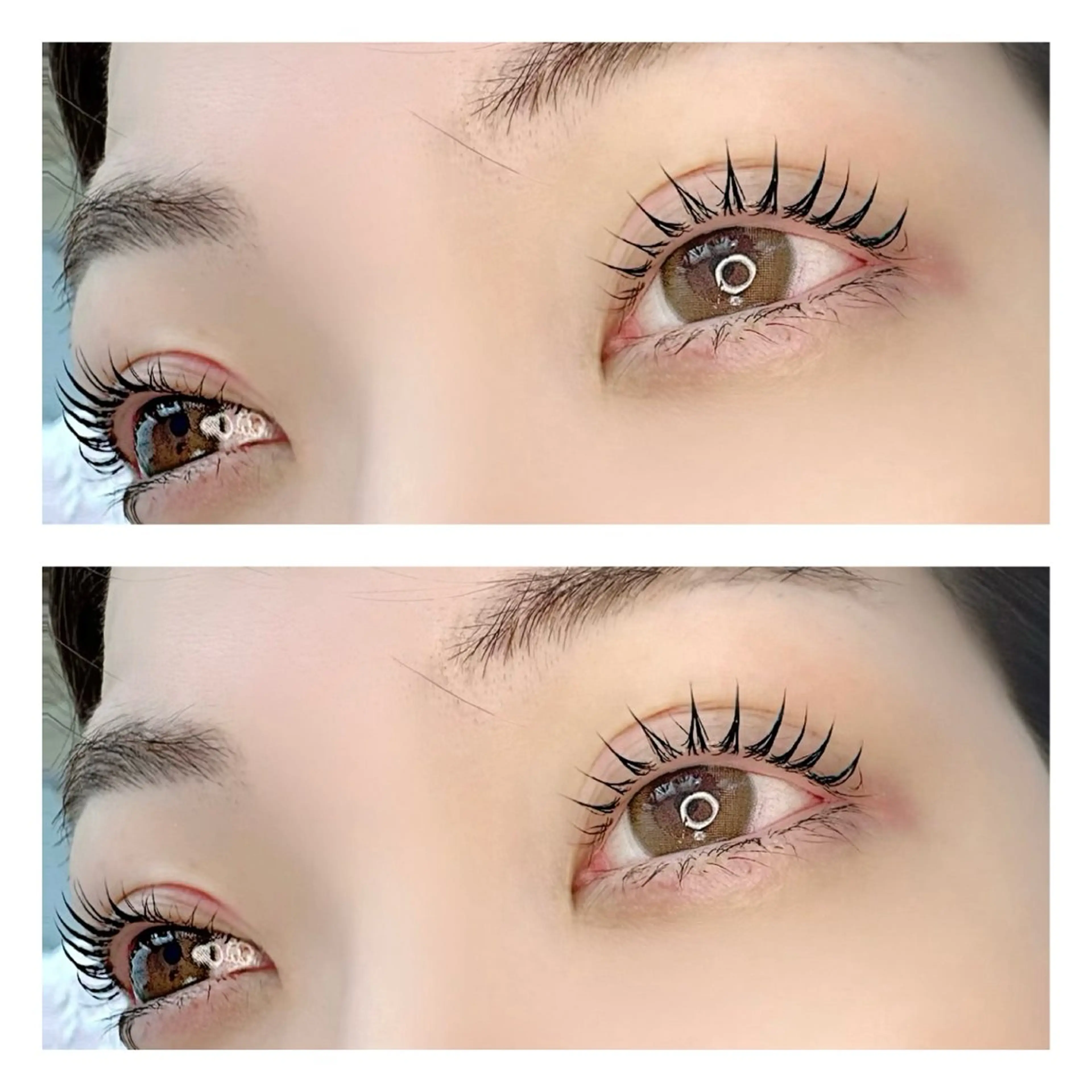 韓国🇰🇷まつげパーマ（上）＋アイブロウワックス　￥7500→￥7000の写真