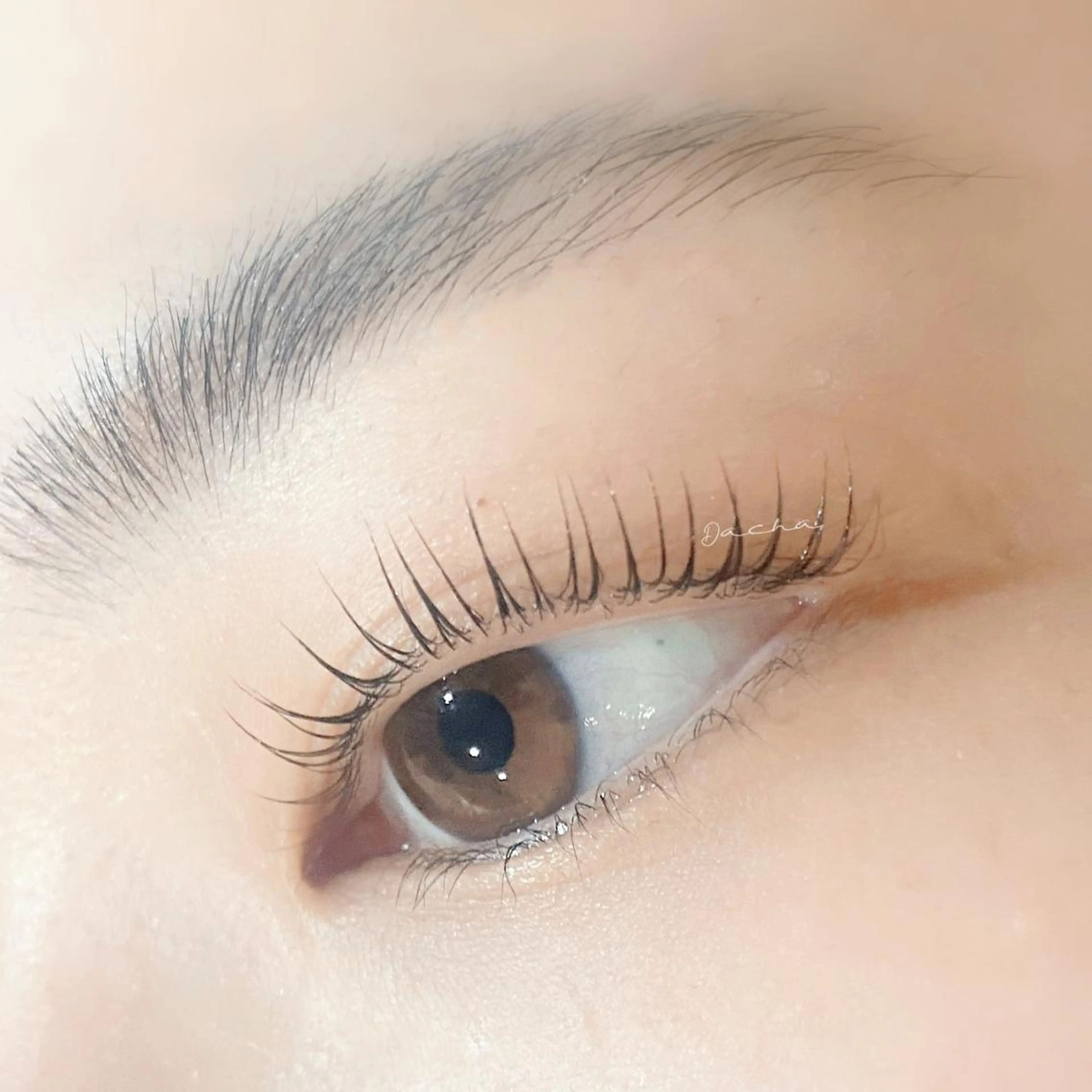 マツエク・マツパ まつ毛の悩み解消 Dacha吉岡の眉毛・アイブロウイメージ