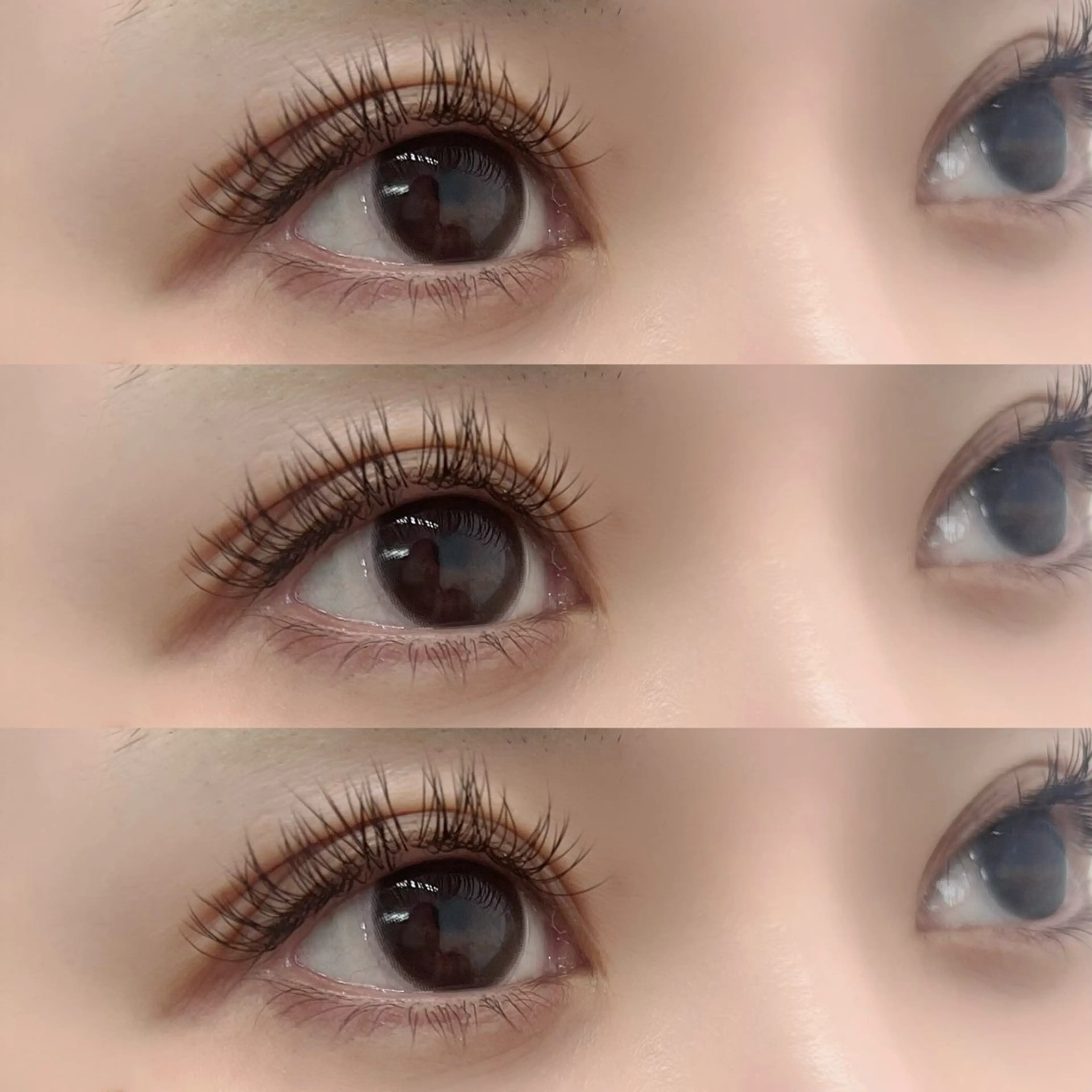 マツエク・マツパ 無料マツエクモデル 西新宿のマツエク・マツパデザイン