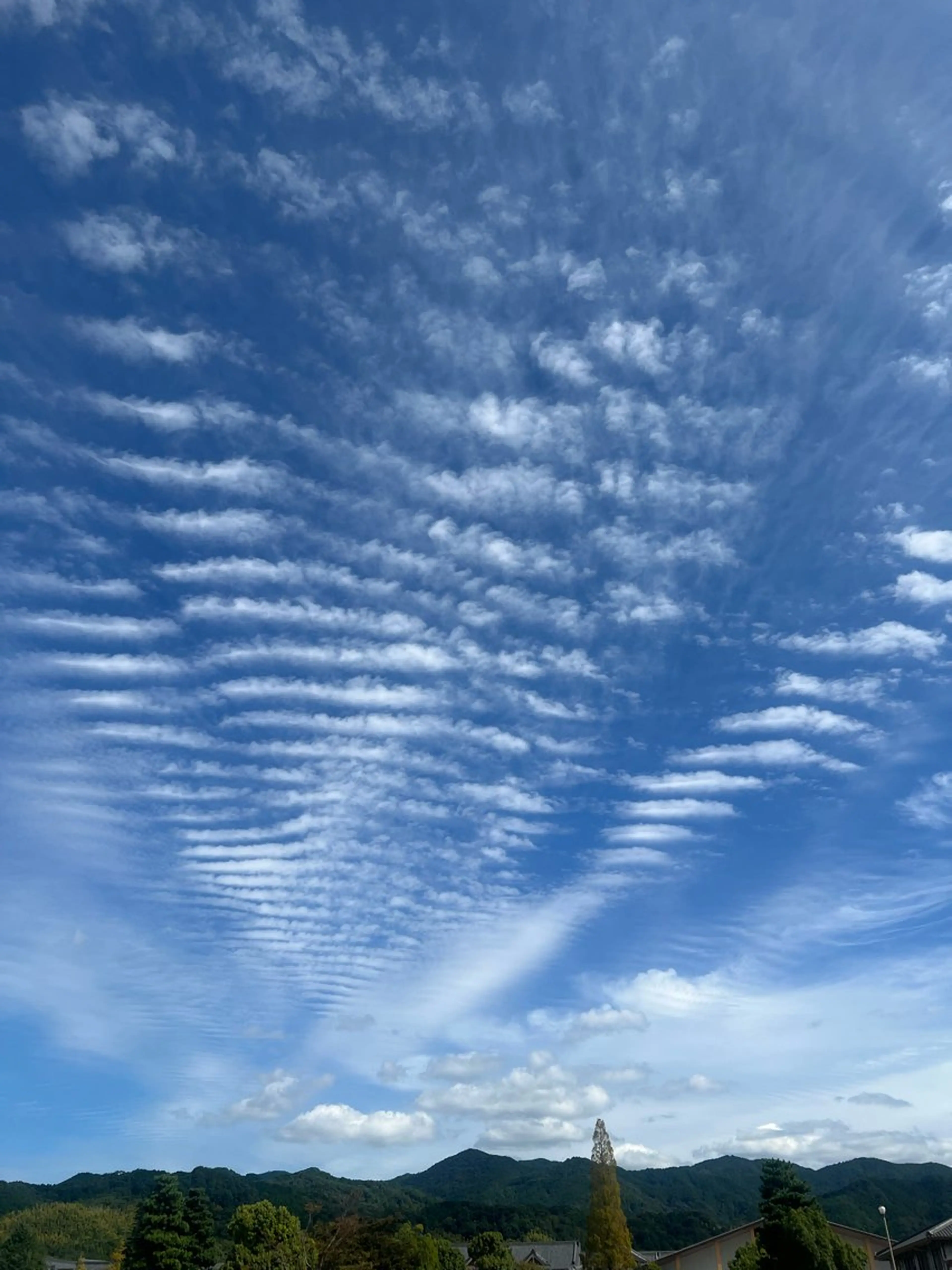 アイブロウ 丸の内ヒルズ 今井琴恵のその他イメージ