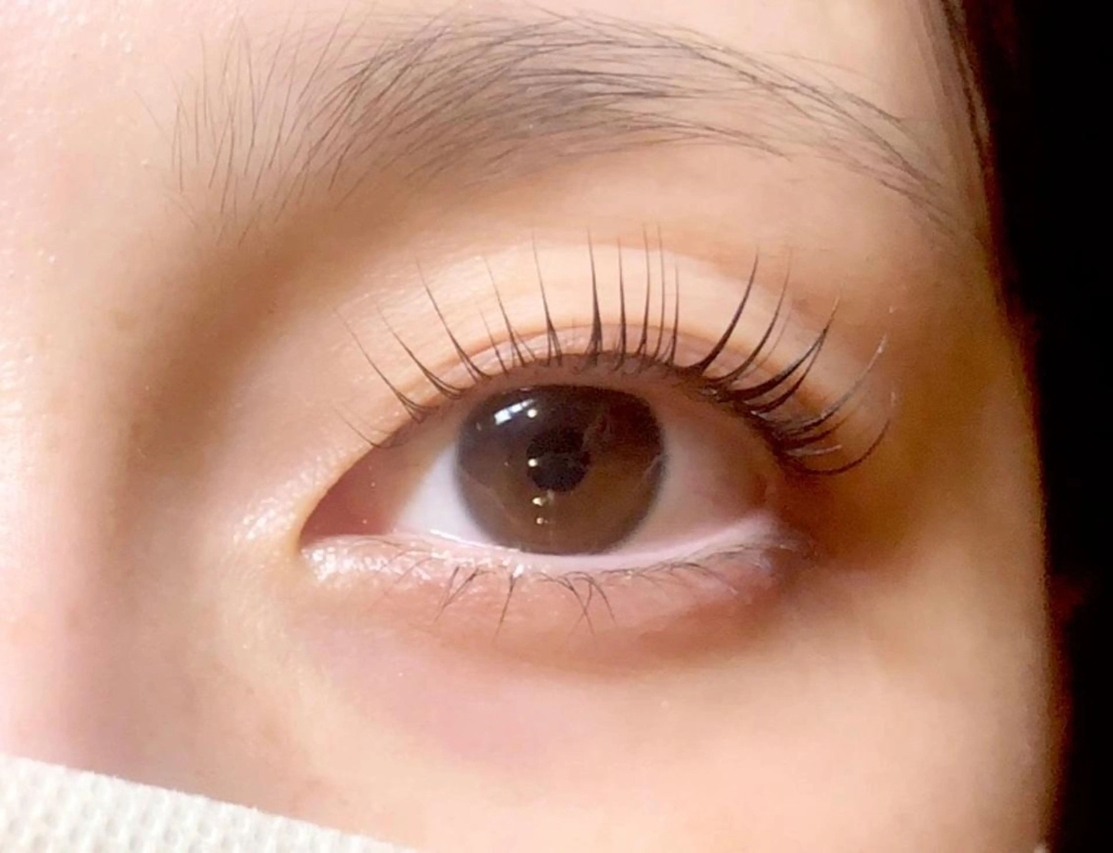 マツエク・マツパ マツパ 【Refine】 磯部のマツエク・マツパデザイン