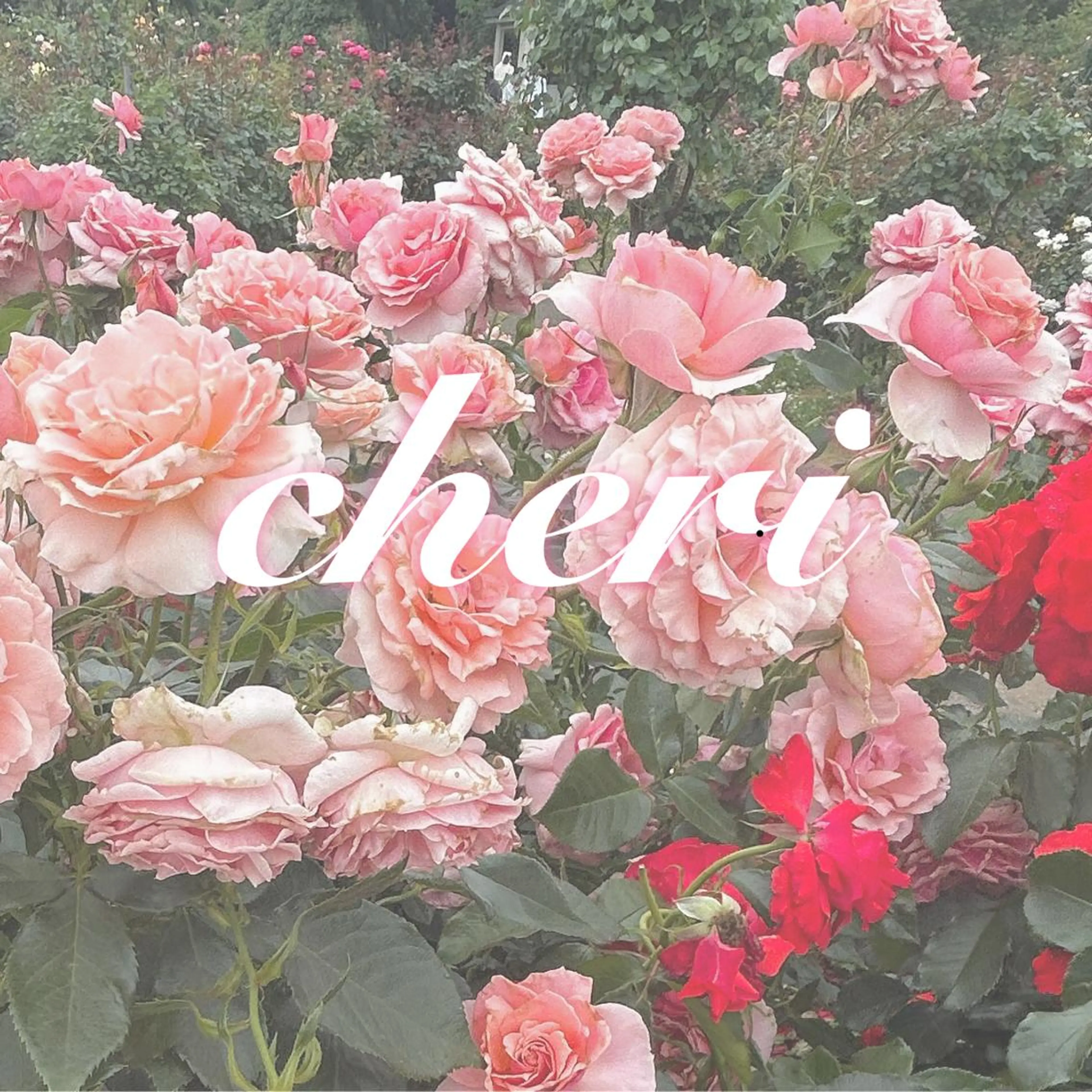 ヘッドスパ　⭐︎10分間⭐︎ マッサージでリラックス💭の写真