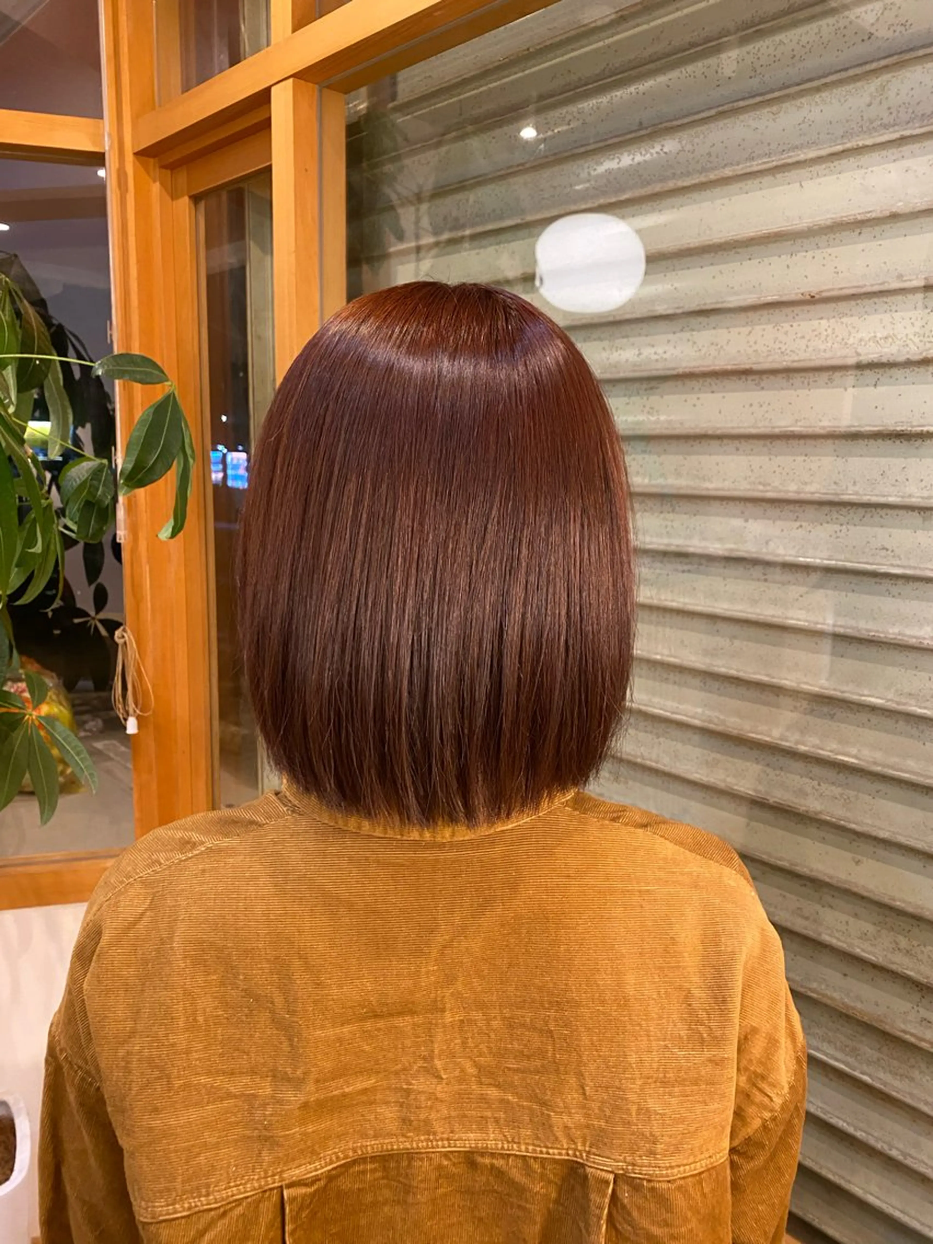 カラー 艶カラー／ストレート かとうゆうき🍯のヘアスタイル