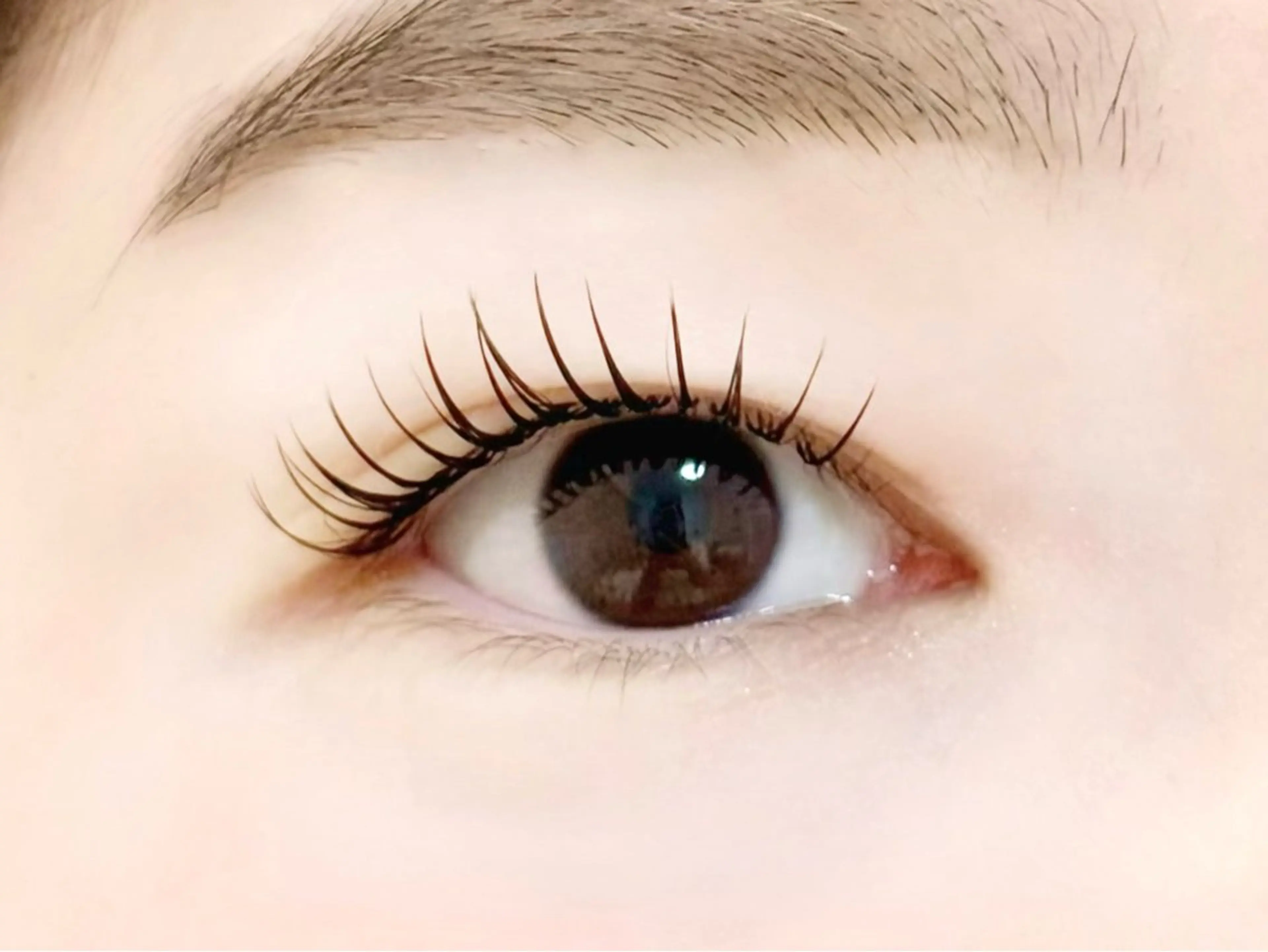 マツエク・マツパ Leola ERIKAのマツエク・マツパデザイン