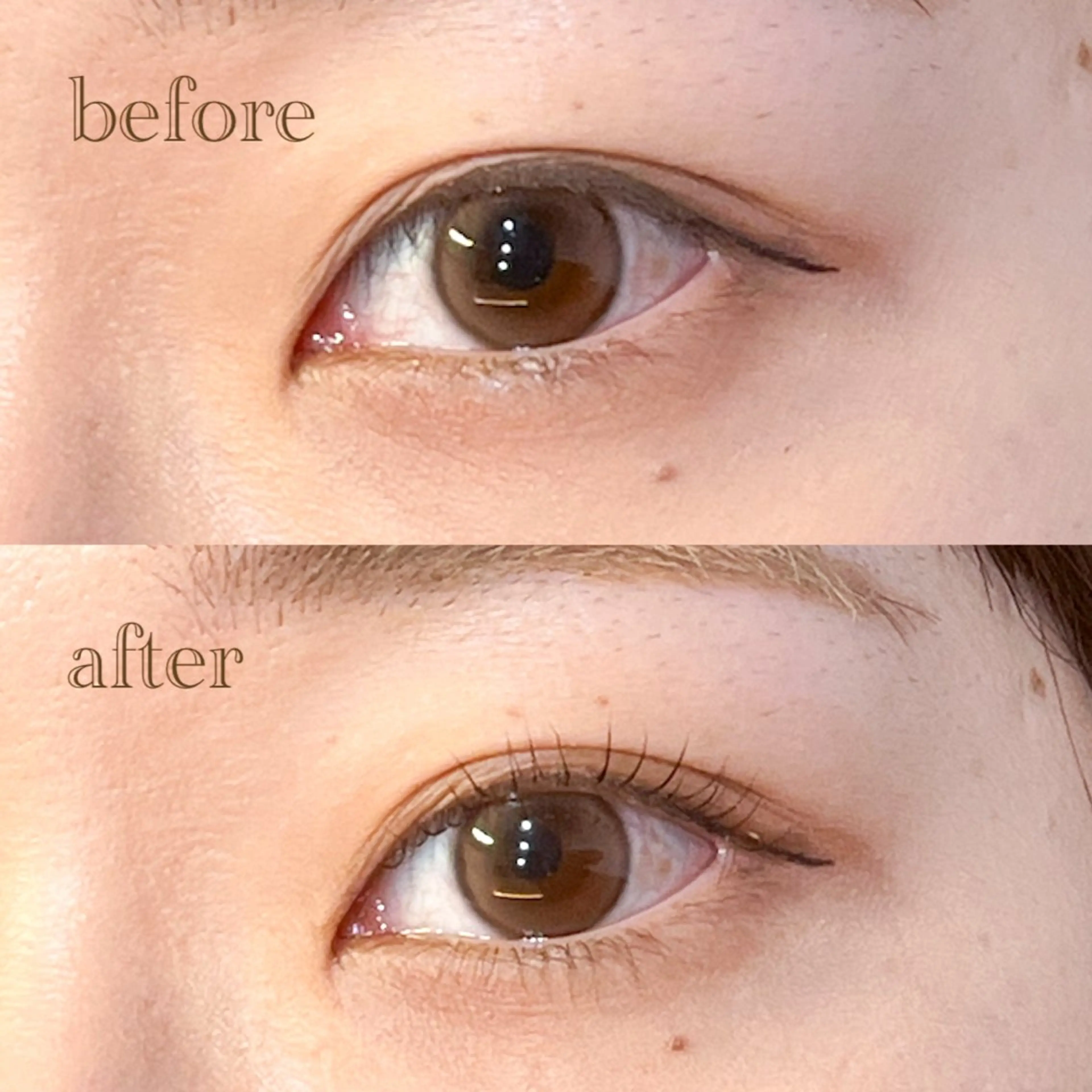 マツエク・マツパ 一重×まつ毛パーマ 仙台/束感まつげ💐 🎀Mizukiの眉毛・アイブロウイメージ